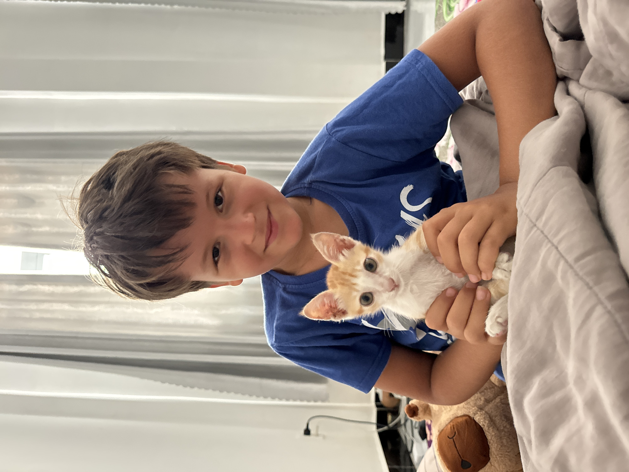 A young boy with brown hair and a blue t-shirt is holding a small orange and white kitten on a bed. The boy is smiling at the camera. The kitten is looking directly at the camera. There is a teddy bear in the background to the left of the boy. The scene appears to be indoors, possibly a bedroom. The backdrop consists of light-colored curtains and a window. There is no visible indication of Mũi Né, Vietnam, in the image.