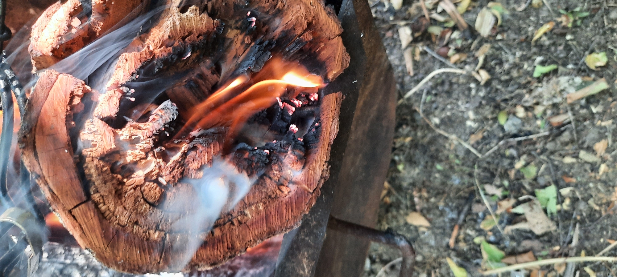 A close-up shot captures a piece of wood burning. The wood, with its prominent grain and rough texture, is charred in places and engulfed in flames. Bright orange and yellow fire emanates from the center of the wood, with some embers glowing red. Wisps of white smoke curl away from the fire. The background is out of focus, showing the ground covered with dirt, dry leaves, and twigs, suggesting an outdoor setting. The overall impression is one of a natural and rustic scene, possibly a campfire or a controlled burn. The lighting suggests it is daytime. No people or text are visible.