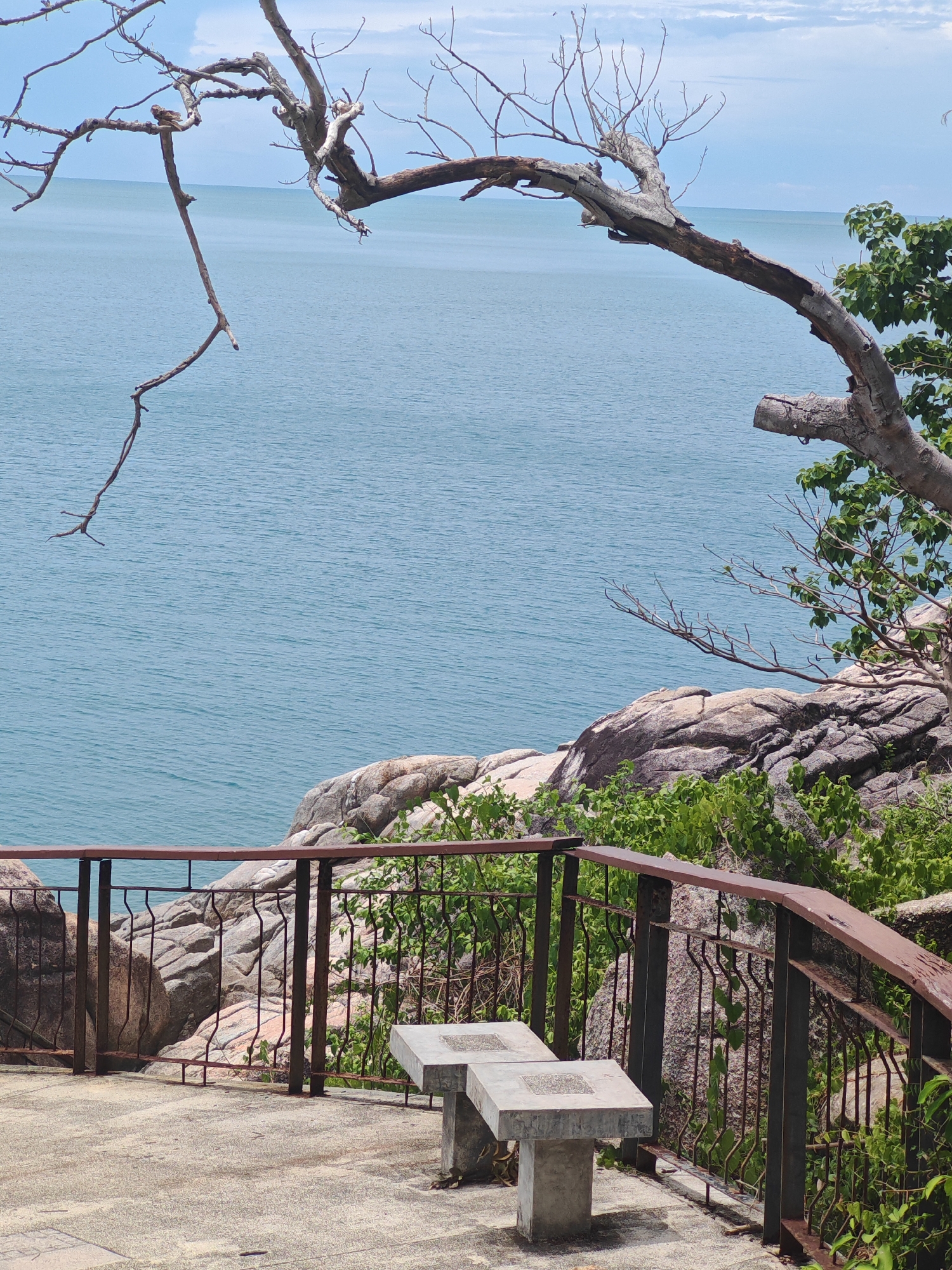 This media file captures a scenic outdoor viewpoint overlooking a calm, blue ocean. The foreground features a concrete patio with a weathered metal railing. Two simple concrete benches are positioned on the patio, suggesting a place for rest or observation. Beyond the railing, a rocky outcrop is visible, adorned with lush green vegetation and a large, bare tree branch extending from the upper right. This branch, with its gnarled texture and sparse twigs, creates a dramatic silhouette against the tranquil water. The ocean stretches out to the horizon, meeting a partly cloudy sky. The lighting suggests it is daytime, likely a clear day with some cloud cover. The overall atmosphere is peaceful and serene, inviting contemplation of the natural beauty. There is no visible text in the image. The location context points to Baan Chaweng Noi, Thailand, which aligns with the tropical vegetation and coastal scenery.