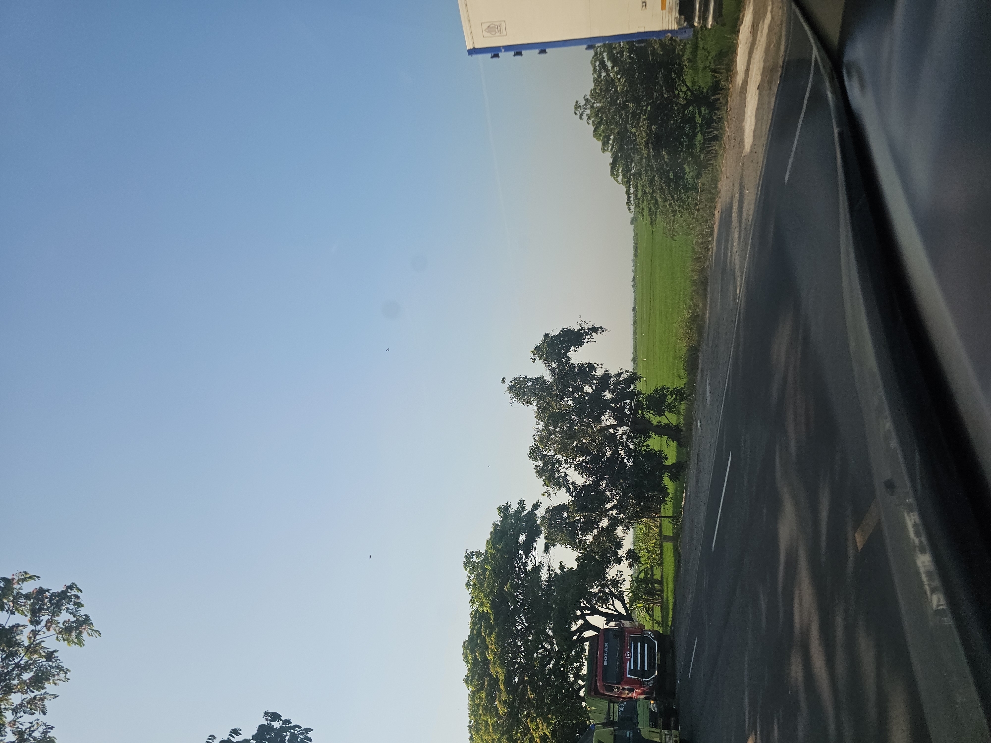 The image depicts a roadside scene in Widang, Indonesia. In the foreground, the edge of a vehicle's dashboard is visible, with a dark, reflective surface. A paved road occupies the middle ground, with a white lane divider running down its center. To the left of the road, a red truck with "BOLAR" written on its side is parked, alongside other vehicles and lush green trees. Beyond the trees, a vast expanse of bright green rice paddies stretches into the distance. The sky is a clear, pale blue, with a few faint birds visible. On the right side of the frame, the white side of a large truck or trailer is partially visible. The overall impression is of a sunny day in a rural or semi-rural area.