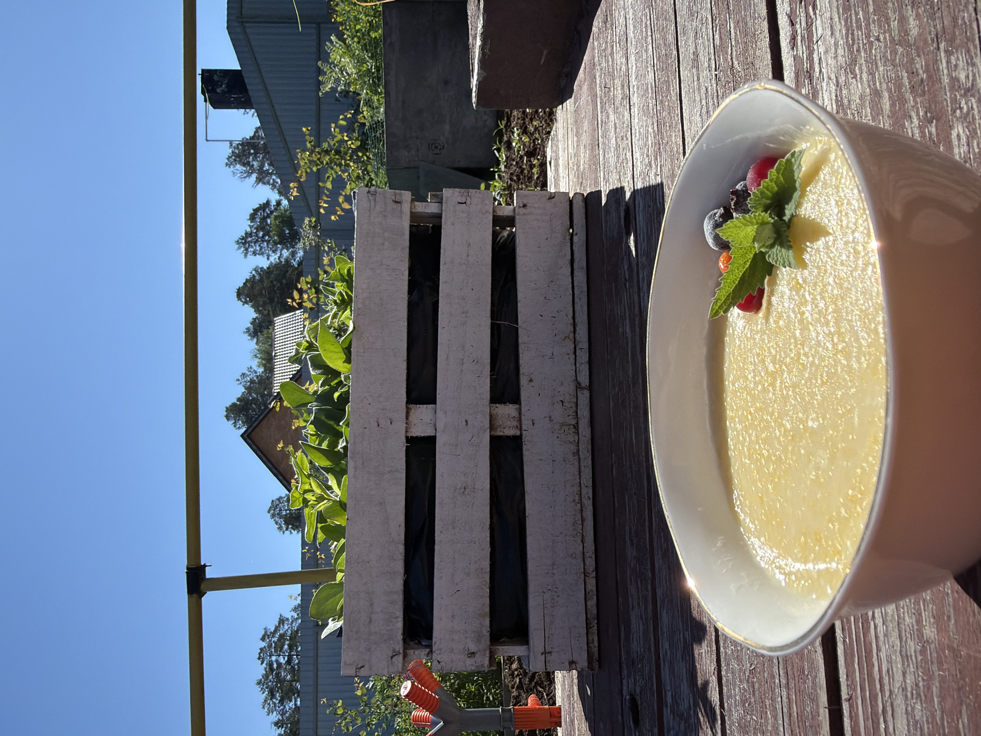 A close-up, eye-level shot shows a bowl of yellow porridge garnished with mint leaves, red berries, and blueberries, placed on a weathered wooden table. In the background, a wooden planter filled with green plants stands against a clear blue sky. The planter is made of weathered white planks with black lining visible inside. Behind the planter, a corrugated metal fence encloses an area with some buildings and trees. A red sprinkler head is visible to the left of the planter. The overall setting appears to be an outdoor space, possibly a garden or backyard, in Chaikovsky, Russia. The lighting suggests it is a sunny day.