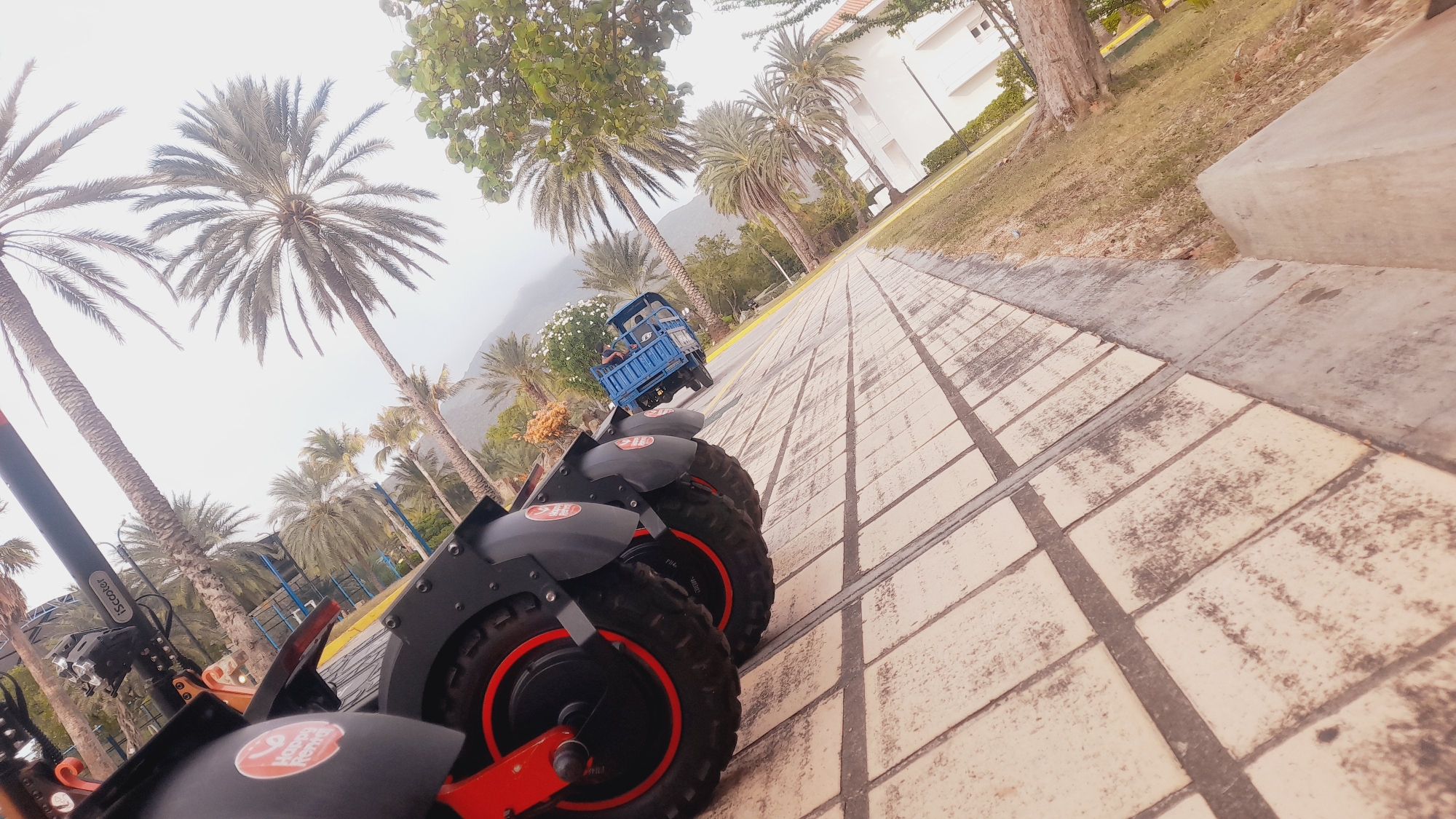 The image depicts a street scene in Pedro González, Venezuela, with a focus on several parked electric scooters in the foreground. The scooters are black with red accents and are lined up on a tiled pedestrian walkway. Beyond the scooters, a blue truck is visible driving on the road, with a person in the driver's seat. Palm trees and lush green foliage are scattered throughout the background, suggesting a tropical or subtropical climate. A white building with a distinctive architectural style stands to the right of the frame, possibly a hotel or resort. The sky is overcast, casting a soft light over the scene. The tiled walkway is a prominent feature, laid out in a geometric pattern that recedes into the distance, creating a sense of depth. The overall impression is one of a relaxed, possibly tourist-oriented environment.