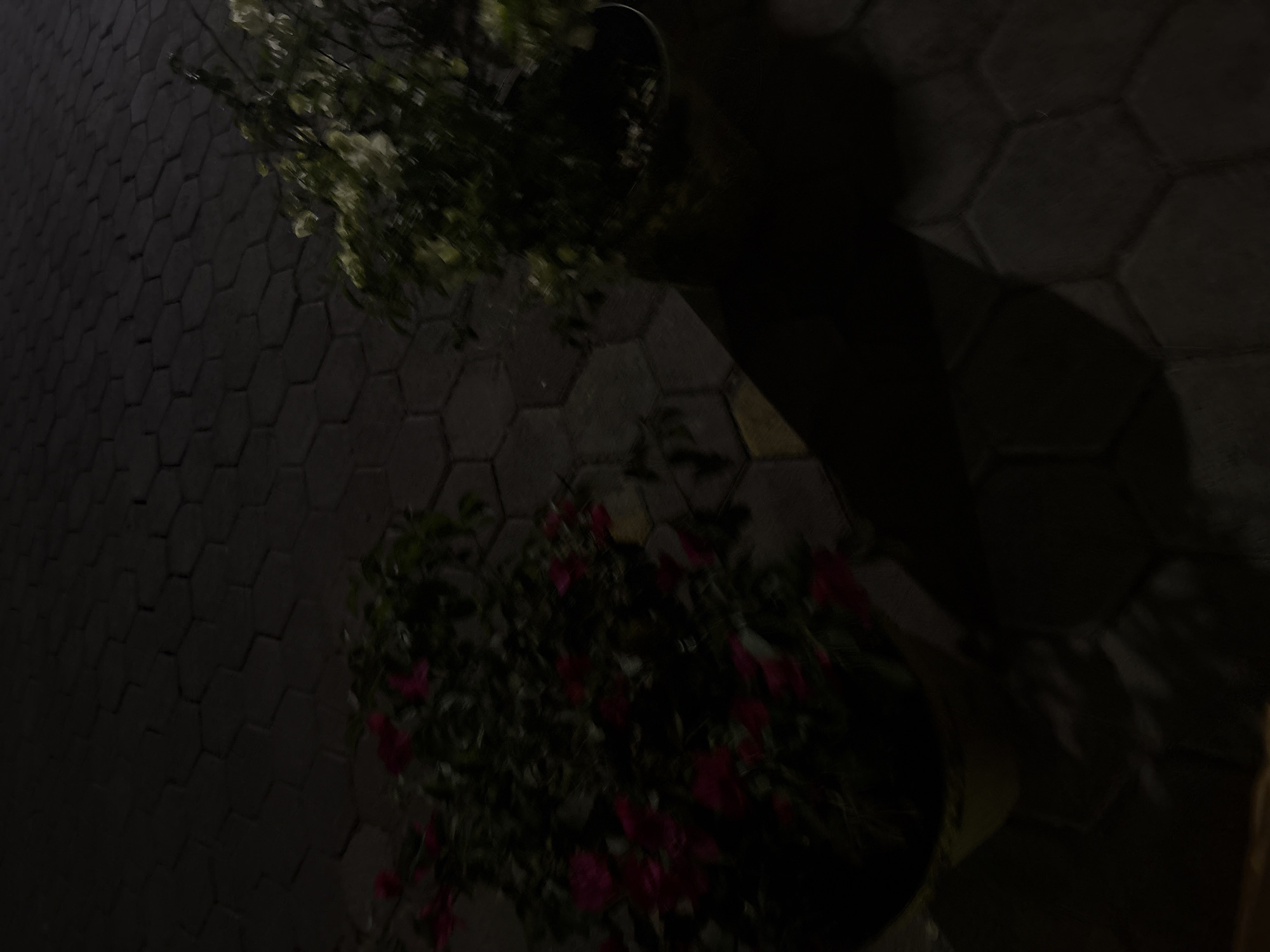 The image appears to be taken at night in San Andrés Cholula, Mexico, showing two potted plants on a paved surface. The paving consists of hexagonal blocks. One plant has white flowers, and the other has pink flowers. Long shadows are cast. No people are visible. The overall scene is dark.
