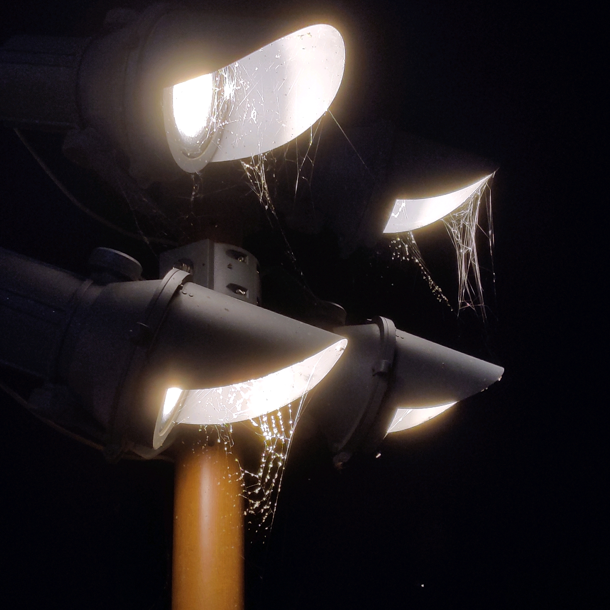 The image shows a close-up view of several outdoor lights at night. The lights are mounted on poles and have a metallic, conical shape. Each light is emitting a bright, white light, illuminating the surrounding area. Cobwebs are visible on and around the lights, catching the light and creating a delicate, intricate pattern. Some of the cobwebs appear to have small droplets of moisture or debris. The background is dark, indicating that it is nighttime. There are no people or animals visible in the image. The scene appears to be in a public outdoor space, possibly a park or a street. The image does not provide any specific information that would allow for identification of the location as Yekaterinburg, Russia.