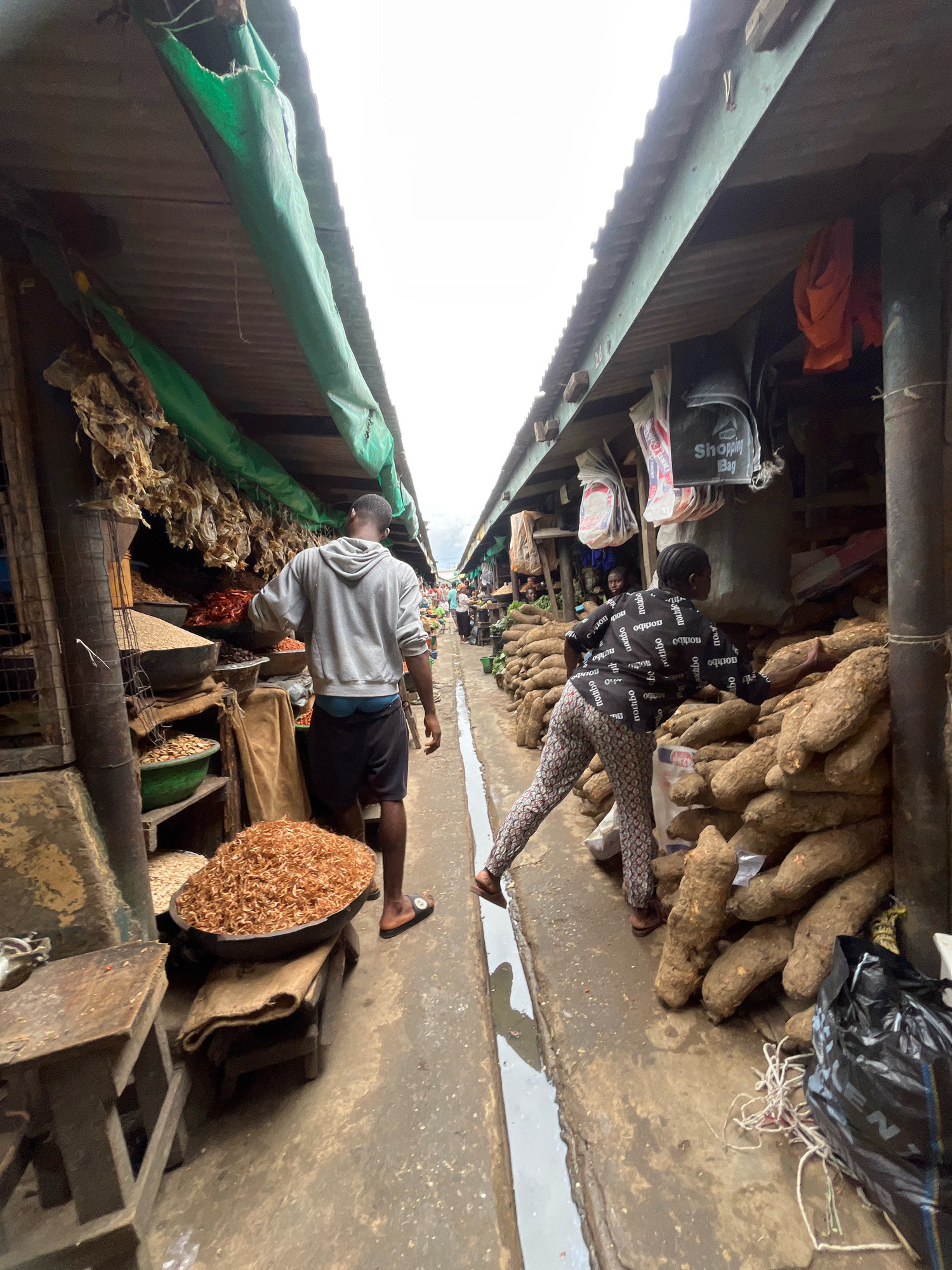 This is a street-level, eye-level, vertical shot of a bustling market in Ajah, Nigeria. The scene depicts an outdoor market with stalls lining both sides of a narrow walkway. The walkway is wet, suggesting recent rain or a water spill, with puddles visible.
On the left side, a stall displays dried fish hanging from the ceiling, alongside various food items in bowls and sacks, including what appears to be grains and dried shrimp. A man wearing a grey hoodie and black shorts is seen from the back, walking away from the camera and towards the background of the market.
On the right side, a large pile of yams is stacked high, indicating a produce vendor. A woman wearing a black top with white lettering and patterned pants is interacting with the yams, reaching out to touch them. Behind the yams, a black trash bag and some rope are visible on the ground.
The market stalls have corrugated metal roofs covered with green tarpaulin, providing shade. The overall atmosphere is busy and typical of a Nigerian open-air market.