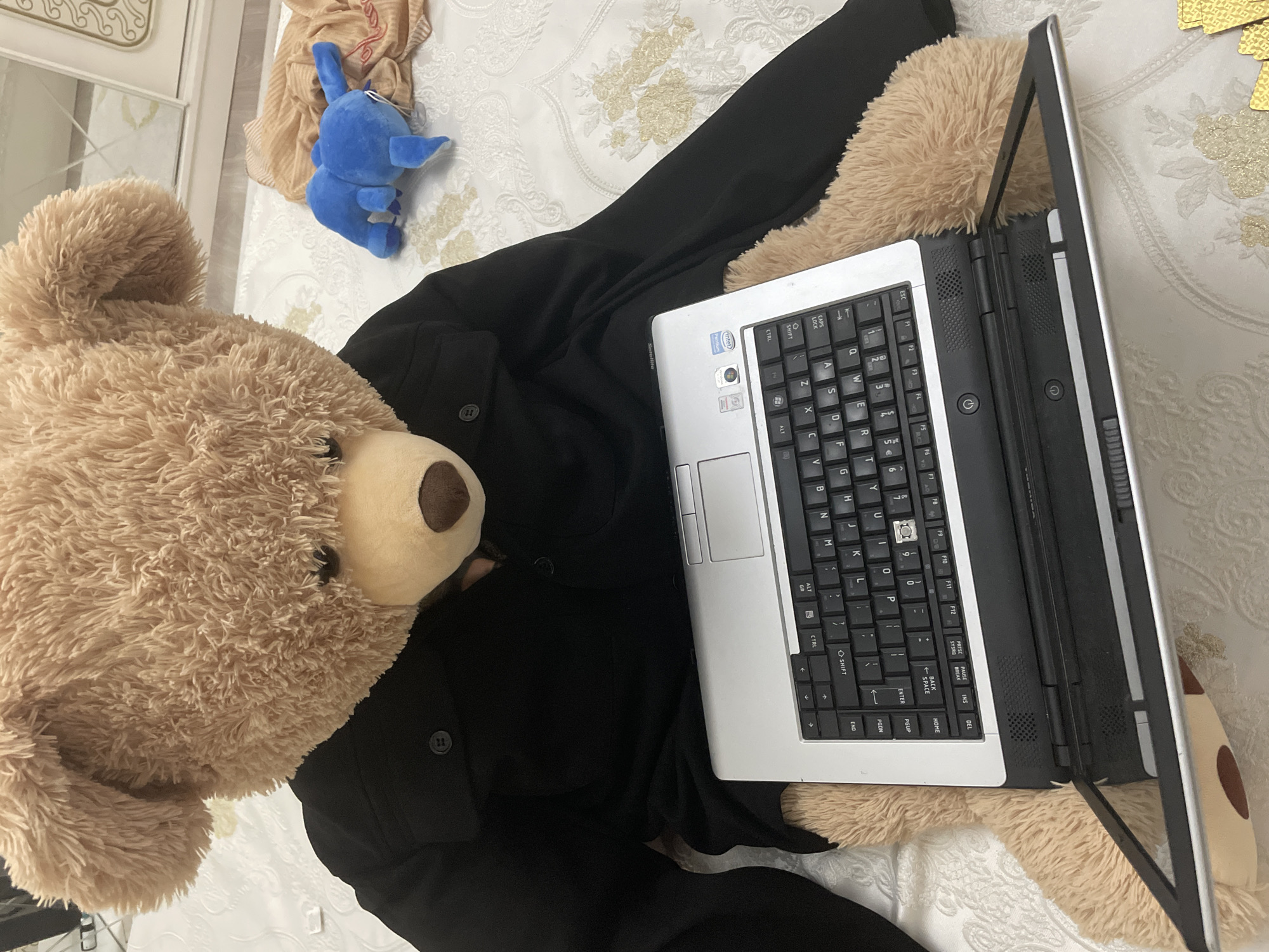 The image captures a top-down view of a playful indoor scene, likely set on a bed in Ihtiman, Bulgaria. The central subject is a large, light brown, fluffy teddy bear, positioned as if "using" an open laptop. The bear appears to be clad in a black garment, possibly pajamas or a jacket, which features a button with the number "11" visible.
The laptop is a silver and black model, likely an older Toshiba Satellite (part of the brand name is visible in a crop). It displays an Intel Inside sticker and an older Windows operating system logo (resembling Windows XP or Vista) on the palm rest. Visible keys on the keyboard include standard alphanumeric keys, function keys F1-F12, and special keys such as ESC, CAPS LOCK, SHIFT, CTRL, ALT, GR, ENTER, SPACE, INS, DEL, HOME, PGUP, PGDN, PRTSC, SYSREQ, PAUSE, and BREAK. Speaker grilles are visible above the keyboard, and a power button is on the side.
The setting includes a white bedspread with an embossed gold floral or damask pattern. In the upper background, a small blue stuffed animal with long ears rests next to a crumpled light-colored fabric, possibly a scarf. The background also shows a white wall with a subtle textured pattern and a reflective surface, possibly a mirror or picture frame. The lighting suggests indoor ambient light, creating a cozy and relaxed atmosphere.