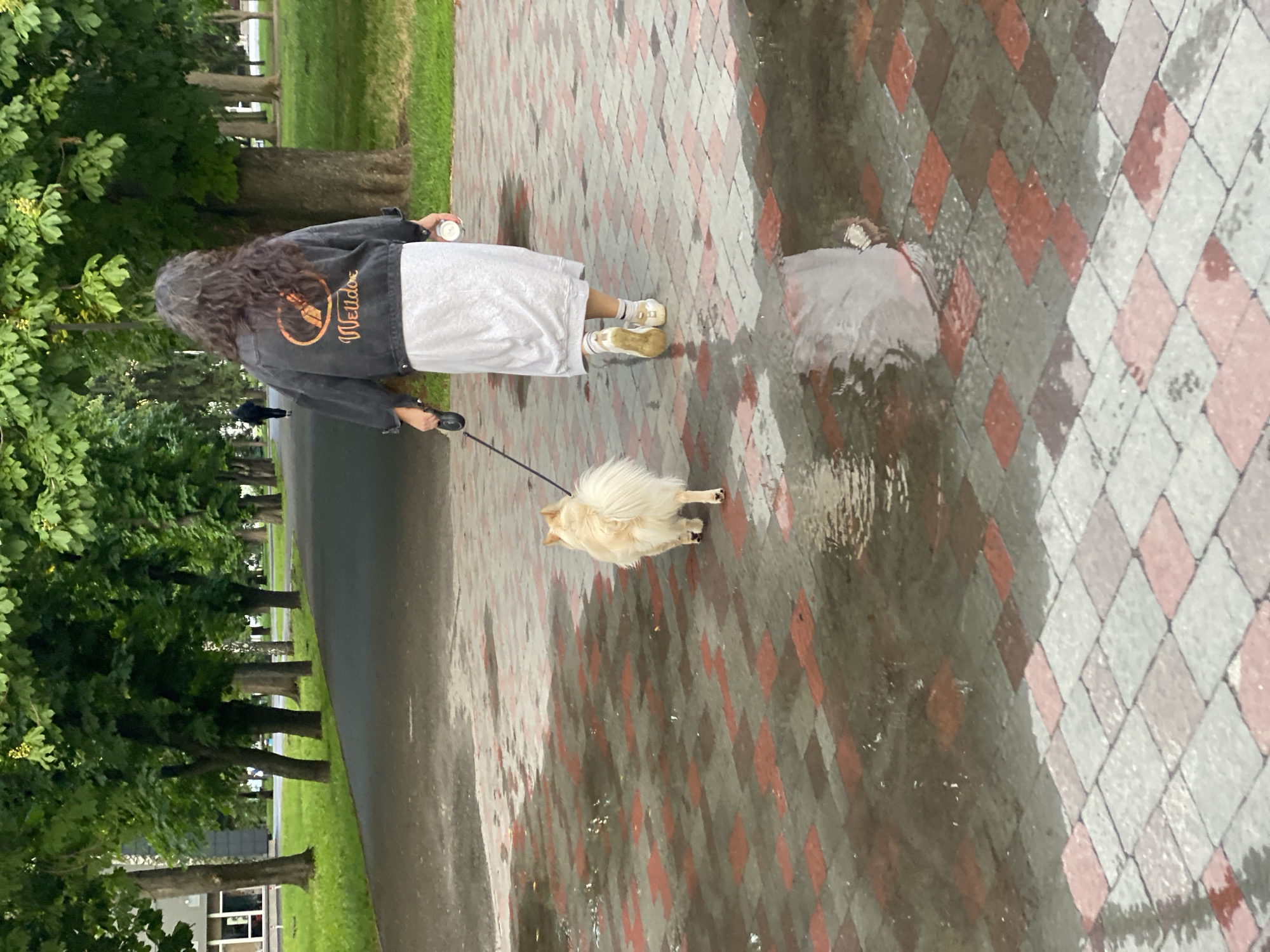 A person is walking a small, fluffy dog on a leash down a brick path. The person, seen from the back, has long, curly hair and is wearing a dark jacket with a design on the back, a white dress, and tan-colored sneakers with white socks. They are holding a cylindrical object in their hand. The dog is light-colored and fluffy. The brick path is damp, with a large puddle reflecting the sky. To the left of the path is a line of trees and a road. The scene is in Poltava, Ukraine.