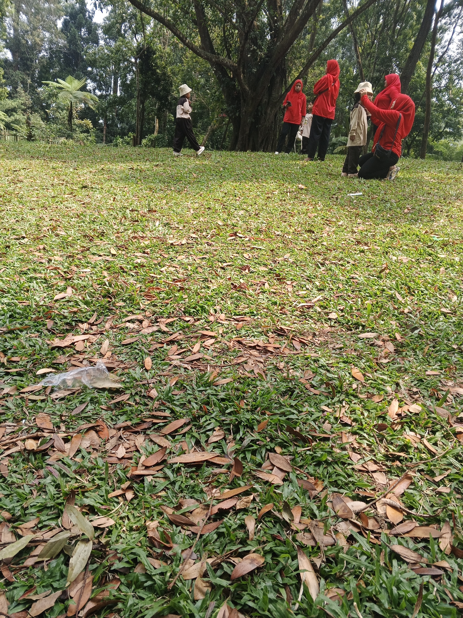 In Perbawati, Indonesia, a group of five people, four wearing red hooded jackets and one child in a light-colored outfit and hat, are gathered on a grassy lawn under the shade of large trees. The lawn is covered in green grass and scattered brown leaves. One person in a red jacket is kneeling, seemingly adjusting something on another person's head. Another person in a red jacket stands behind them, while two others stand to the left, one of whom appears to be the child in the light-colored outfit. A single plastic bag is visible on the ground in the foreground. The environment suggests a park or outdoor recreational area with dense foliage in the background.