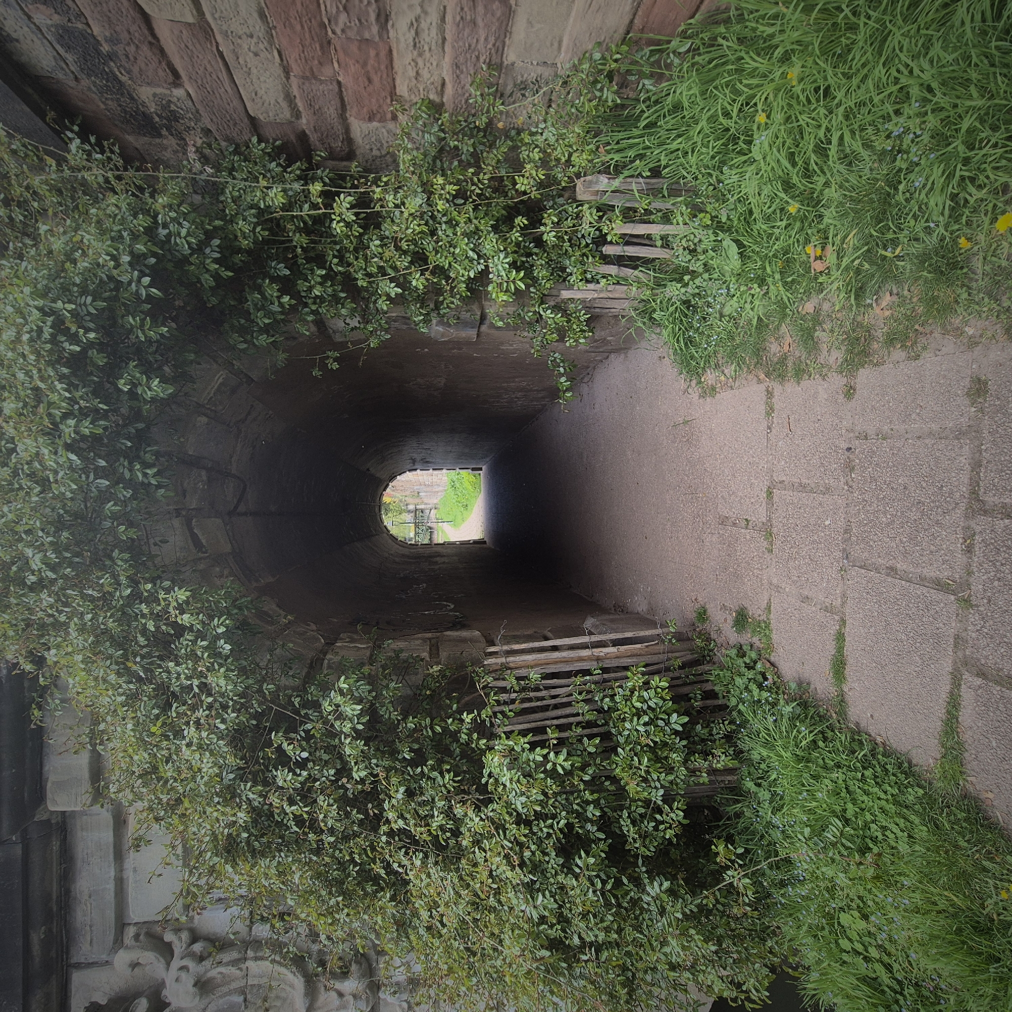 The image presents a tunnel view in Strasbourg, France. The tunnel's interior appears dark, with a slight light source visible at the exit. The entrance is framed by lush green vegetation, including climbing plants and grass. The tunnel's walls are constructed from stone and brick, while the ground is paved with rectangular slabs. Wooden structures are seen supporting the vegetation. The tunnel's exit reveals a glimpse of a path with more greenery.
