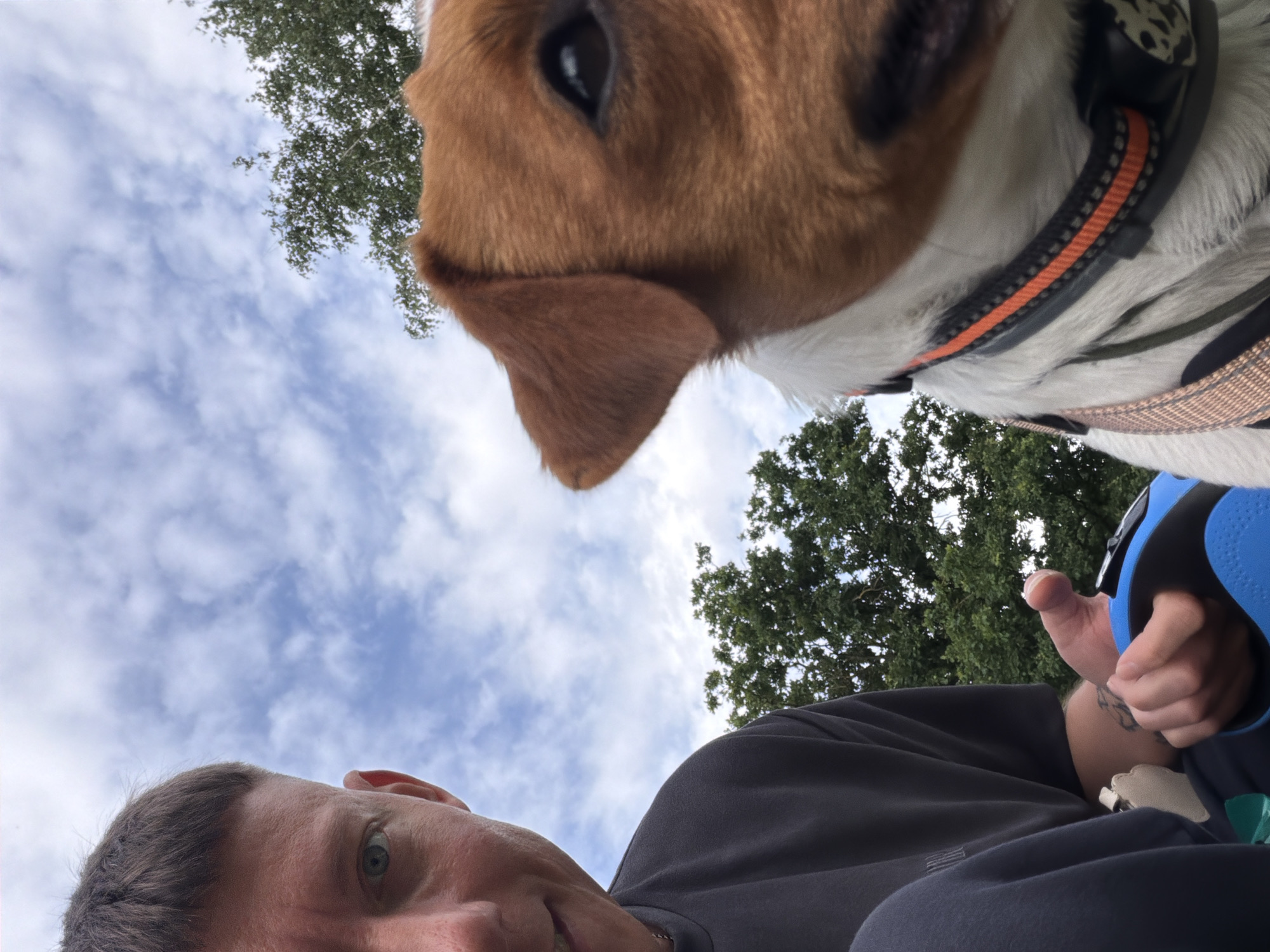 The image is a close-up selfie taken outdoors with a shallow depth of field. In the foreground, on the right side of the frame, is the face of a Jack Russell Terrier, looking towards the camera. The dog is wearing a harness with orange and black accents and a brown woven strap. The dog's fur is predominantly white with brown markings on its head and ears.
On the left side of the frame is a portion of a person's face, with their left eye and cheek visible. They have short, dark hair. The person is wearing a dark gray t-shirt. Their hand is visible in the lower center of the frame, holding a blue object that appears to be a retractable dog leash. The hand has a tattoo on the forearm.
The background consists of a sky with scattered white clouds and green foliage from trees. The scene suggests an outdoor setting, possibly a park. There is no indication of the specific location in Moscow, Russia.