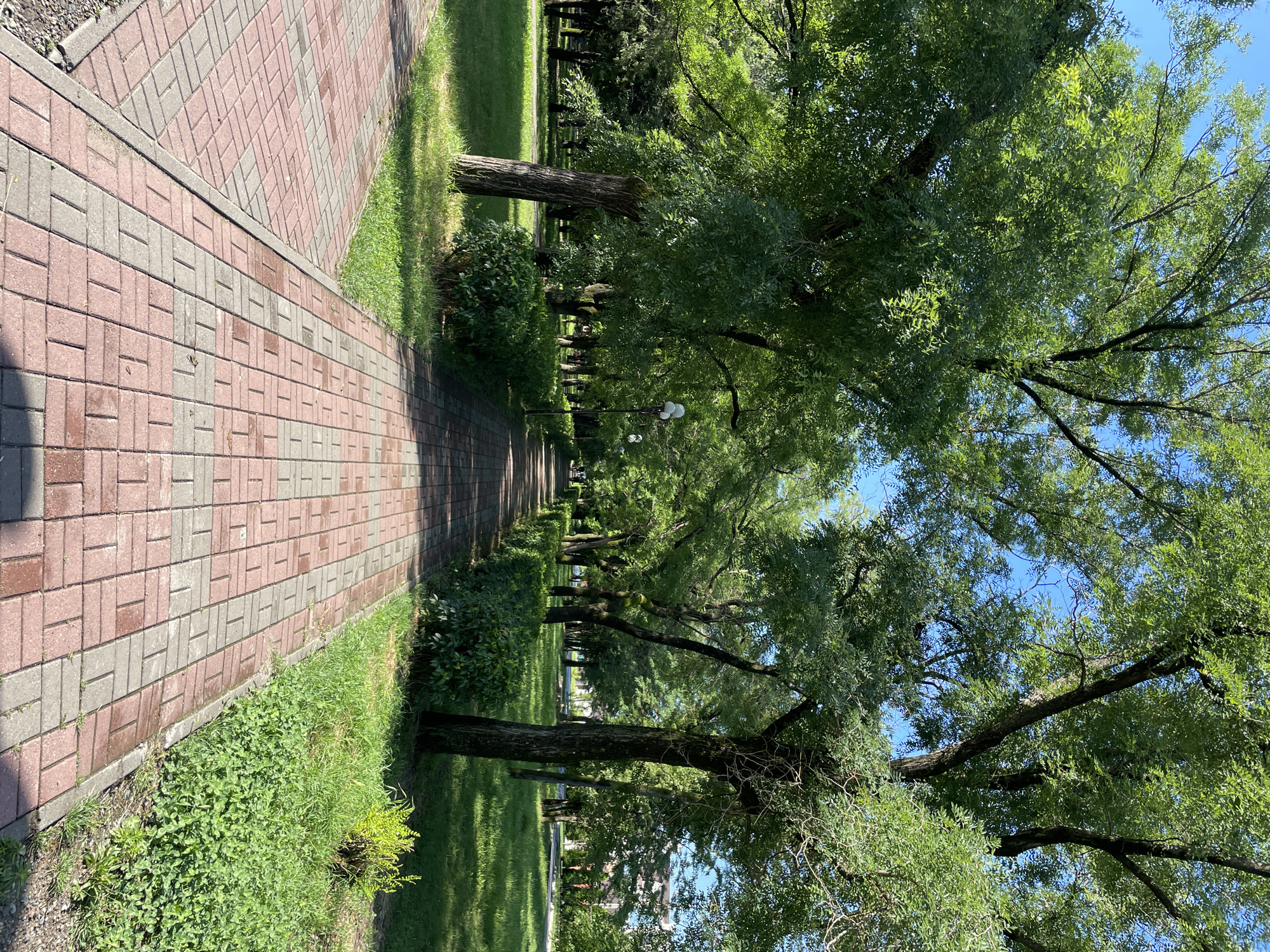The image depicts a paved walkway in a park lined with trees. The walkway is constructed of alternating red and gray rectangular bricks. To the left and right of the walkway, there are areas of green grass and manicured bushes. Several large trees with dense green foliage are visible, casting shadows on the path and grass. In the distance, the walkway recedes into the park, with more trees and greenery visible. A lamppost with multiple lights is present along the right side of the path. The sky is clear and blue. The scene appears to be a public park in Cherkessk, Russia, likely during the daytime.