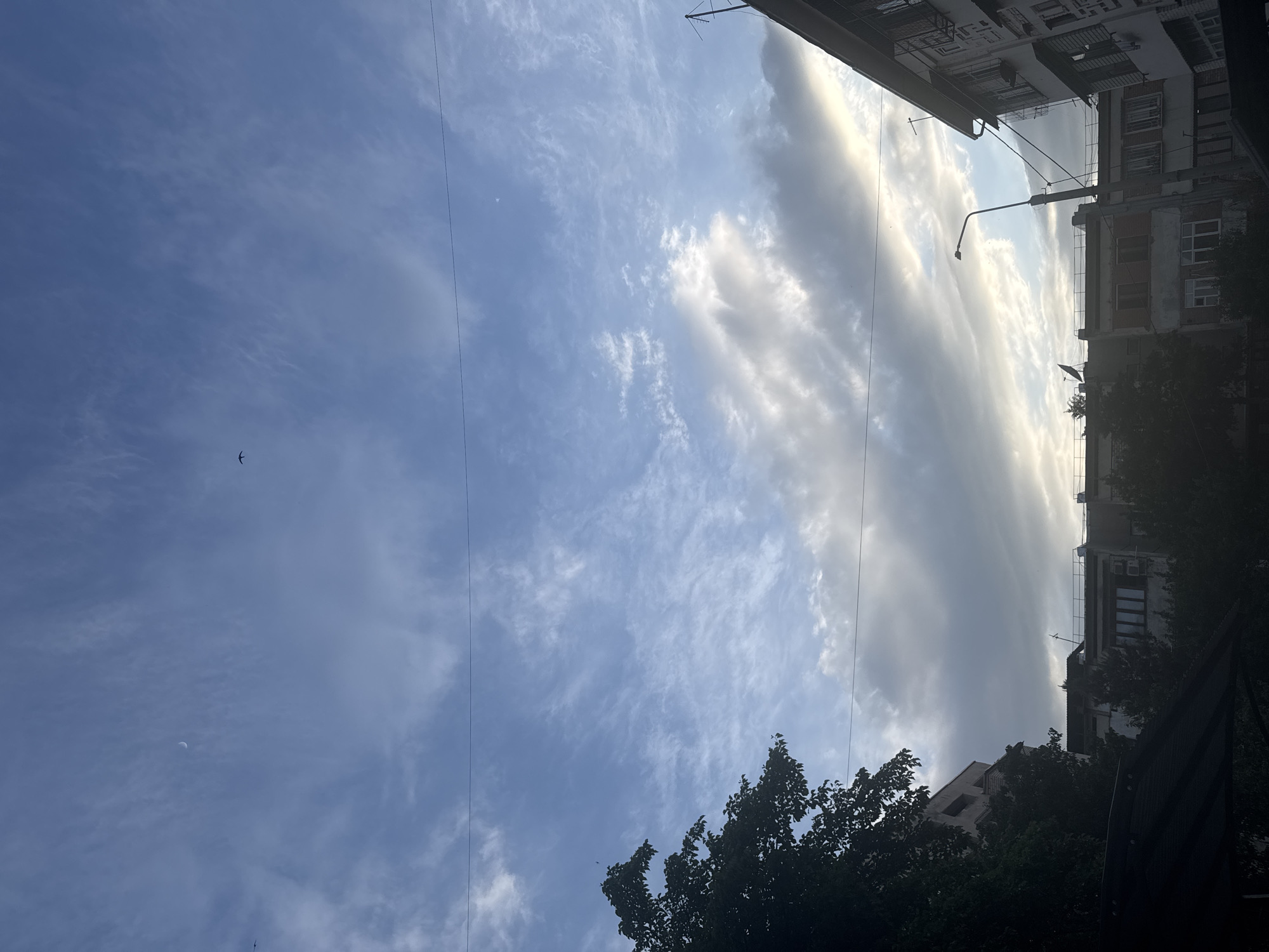 The image, taken from a low angle, shows a view of the sky in Tashkent, Uzbekistan, framed by buildings and trees. The sky is a mix of blue and white clouds, with a strip of dense, elongated clouds stretching vertically in the center. Two power lines are visible running diagonally across the sky. A small, dark bird is flying in the lower left quadrant of the image. The buildings are old, multi-story structures with varying architectural details. A street lamp is also visible. Trees with dark foliage are present in the foreground and partially obscure the buildings.