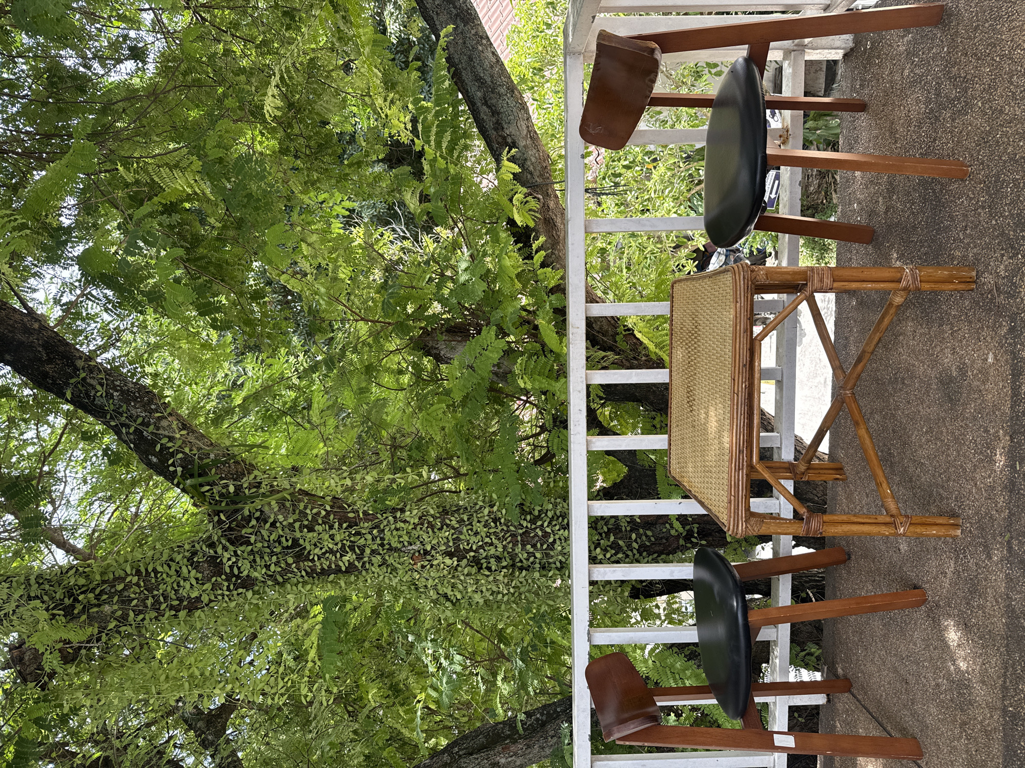 This is a medium shot, eye-level, outdoor photograph taken in the city of Ko Samui District, Thailand. The scene depicts a small, intimate seating area on a balcony or patio. Two wooden chairs with black upholstered seats flank a small, square coffee table made of woven rattan. The table is supported by four angled legs connected by crossbars, also made of rattan.
Behind the seating area is a white railing that stretches horizontally across the frame. Beyond the railing, a large tree dominates the background. The tree has a thick, textured trunk and branches heavily laden with lush green foliage. Some branches are draped with a trailing vine, creating a natural, curtain-like effect. The sunlight filters through the leaves, casting dappled shadows. The ground beneath the furniture and railing appears to be a textured concrete surface. The overall impression is one of a peaceful, natural setting, possibly an outdoor cafe or a private balcony. No people are visible in the image.