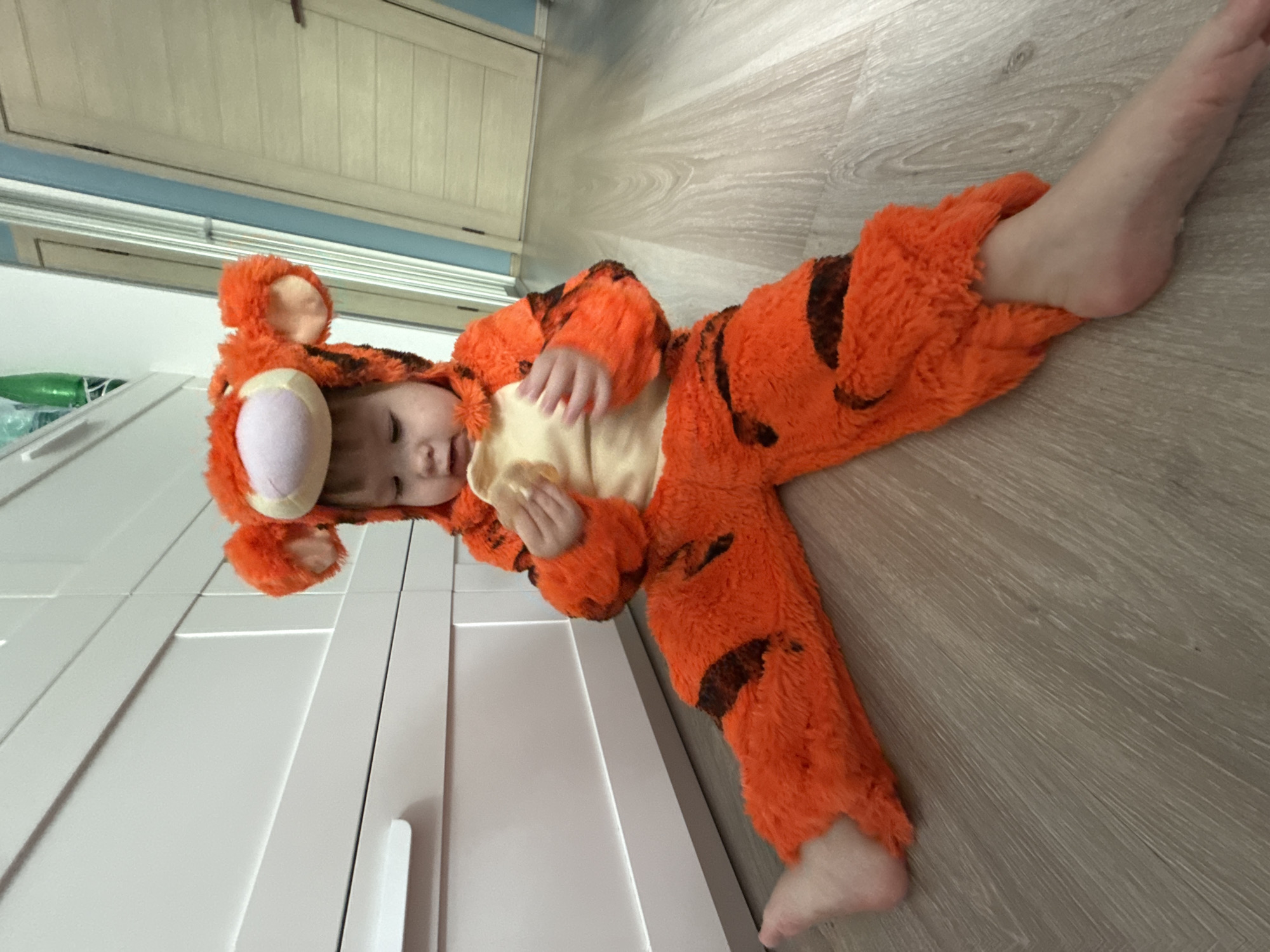 A young child, approximately 2-3 years old, is seated on a light-colored wooden floor. The child is wearing a fuzzy orange tiger costume with black stripes, complete with a hood featuring tiger ears and a pink nose. The child is holding a light-colored object, possibly a piece of food, in their hands and looking down at it. In the background, there is a white dresser with multiple drawers and a blue wall with two doors. The scene appears to be indoors, possibly in a residential setting in Moscow, Russia, given the architecture and typical interior design elements. The lighting suggests it is daytime.