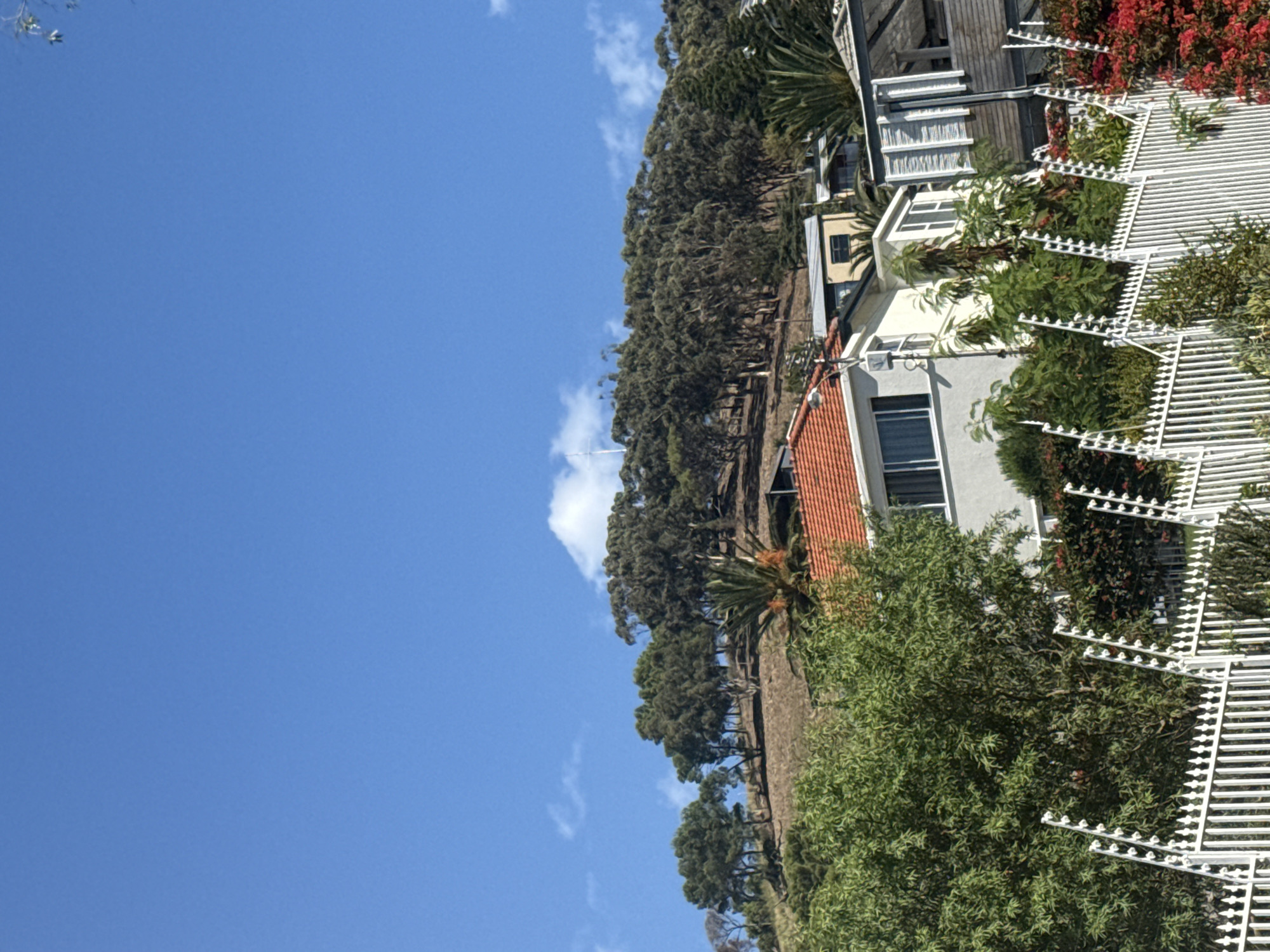 The image depicts a residential scene, potentially located on a hillside. A mix of vegetation, including trees and shrubs, fills the lower portion of the image. A series of houses are visible, some with red-tiled roofs, white exteriors, and white railings. The background showcases a clear, blue sky with a few scattered clouds. The image does not provide sufficient information to determine that this location is in the city of Cape Town, South Africa.