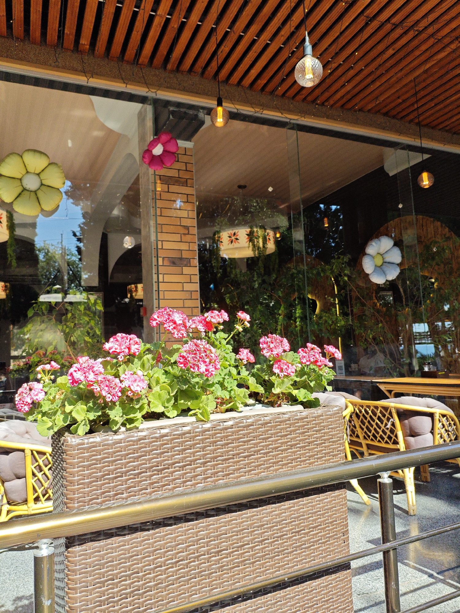 The image depicts an outdoor seating area with a focus on a planter box filled with pink geraniums. The planter box is made of brown wicker-like material and sits in front of a building with large glass windows. Behind the planter, a yellow wicker chair with a brown cushion is visible. The glass windows reflect trees and the sky, suggesting a sunny day. Inside the building, decorative elements like hanging light bulbs and fabric flower decorations are visible. The scene is likely part of a cafe or restaurant, possibly located in Alushta, Ukraine, given the context. There are no people visible in the frame.
