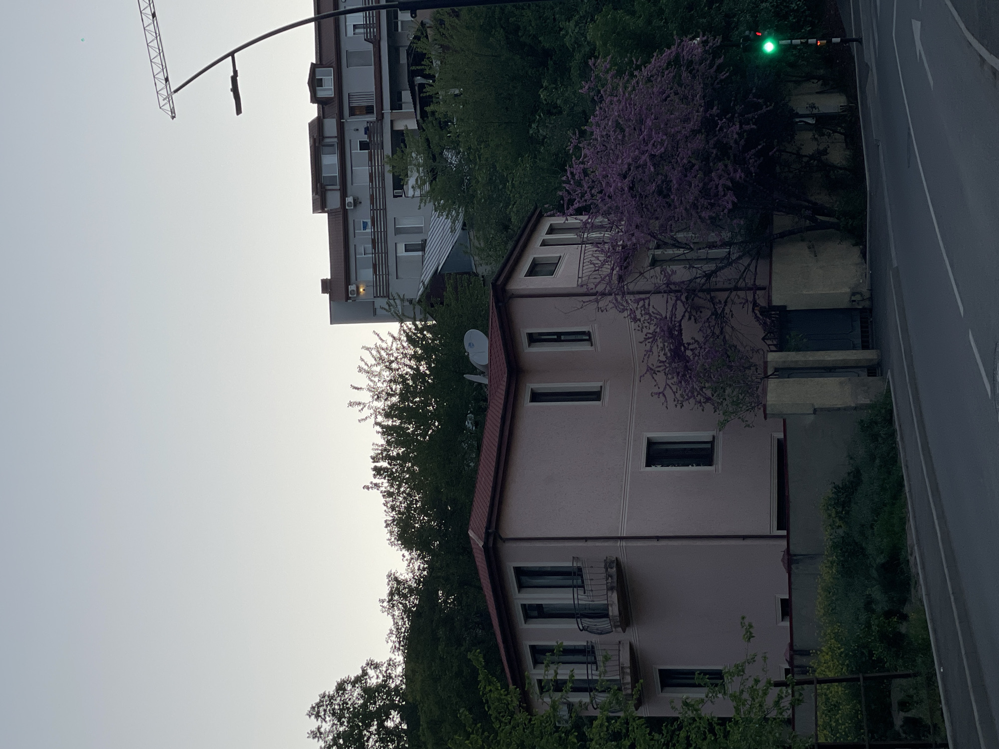 The scene depicts a street in Tbilisi, Georgia, with a pink two-story building adjacent to the road. A tree with purple flowers is in full bloom beside the building. A taller, grey apartment building is situated further back, with visible balconies and windows. A green traffic light is illuminated above the road. A streetlight with a visible arm and support structure is also present. The sky is overcast.