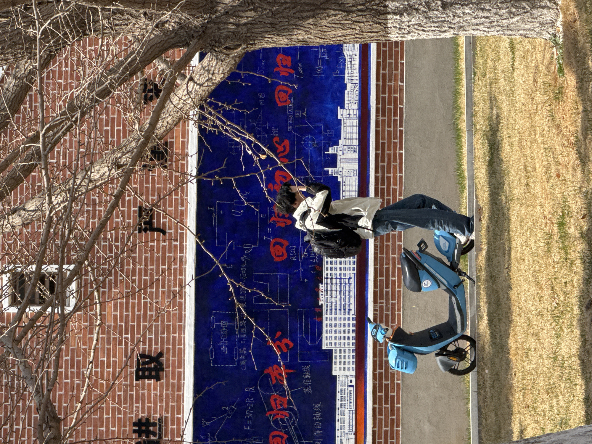 A person with dark hair and a black backpack stands near a wall in Zhongtun, China, with mathematical formulas and equations written in Chinese characters. The formulas are painted on a blue background, which is bordered by red brick. The person is wearing a white jacket and jeans. Next to the person is a blue electric scooter. A tree with bare branches is in the foreground. To the right of the wall is a narrow concrete pathway, and to the right of the pathway is a dry, grassy area.