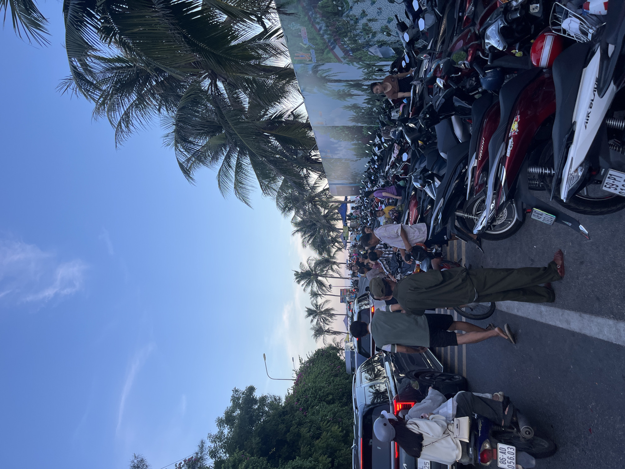 The image depicts a street scene in Phu Thuy Ward, Vietnam, with a substantial number of parked motorcycles and several vehicles, including cars and a minivan, lining the road. A group of people are gathered around the vehicles, some appearing to be waiting or walking. The environment includes palm trees along the side of the road, a wall decorated with images of a coastal landscape and palm trees, and a clear sky with some light cloud cover. The lighting suggests it is either early morning or late afternoon. One license plate visible on a motorcycle reads "86-AD 056.03". The overall impression is a busy, public area, possibly a tourist or market district, where vehicles are parked closely together.