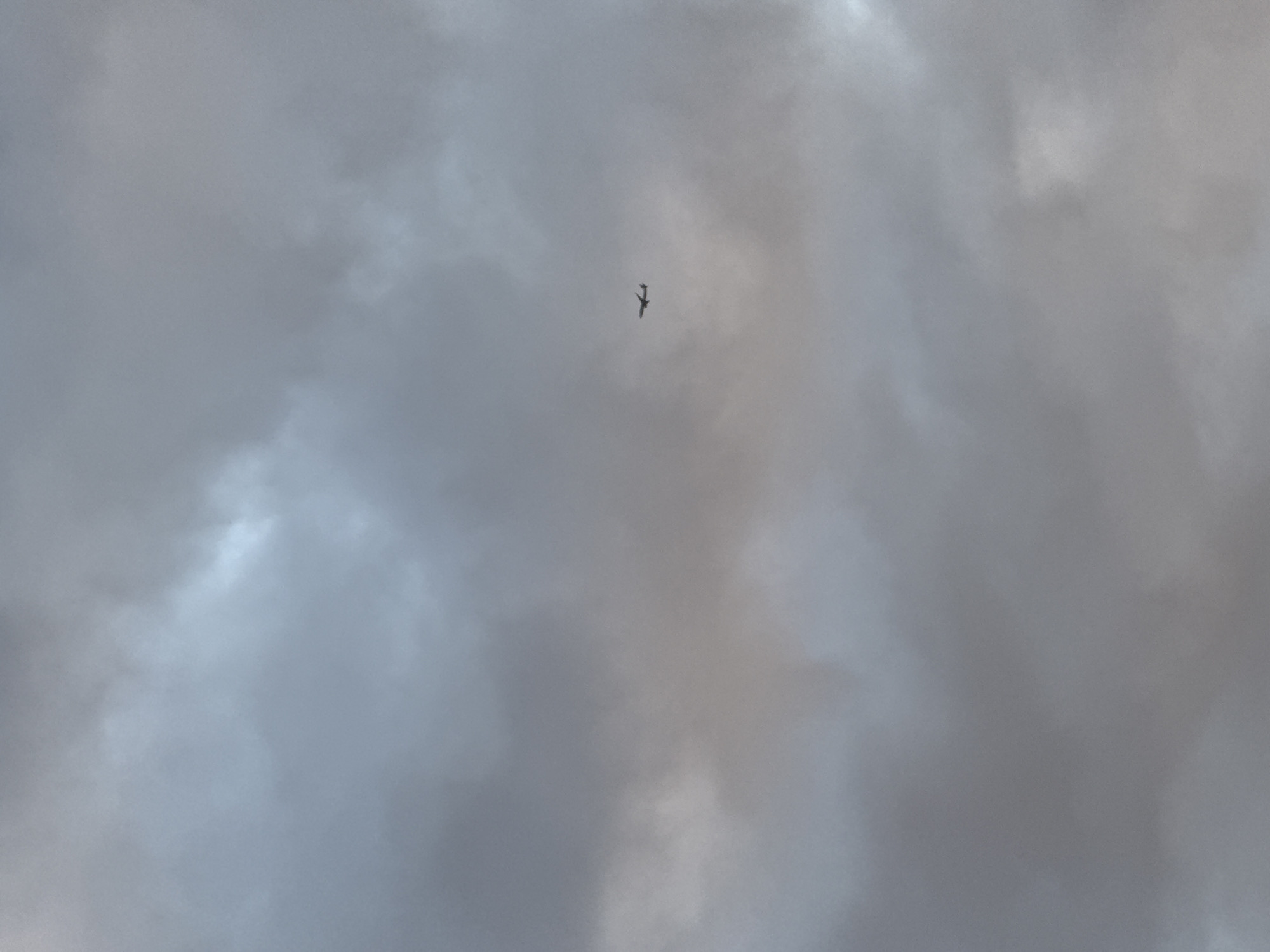 The image captures a dramatic sky filled with dense, grey clouds, suggesting overcast or stormy weather. A small, dark silhouette of an airplane is visible in the upper center of the frame, appearing to be in flight against the tumultuous backdrop. The airplane is small relative to the vastness of the sky, emphasizing its distance and isolation within the atmospheric conditions. The clouds are varied in texture and light, with some areas appearing brighter due to light filtering through, while others are deep and shadowed. The overall mood conveyed by the image is somewhat somber and awe-inspiring, highlighting the power of nature and the solitary presence of human technology within it. There is no visible text in the image. The location context provided is Drozhzhino, Russia.