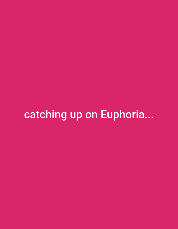 A still image displays white text on a bright pink background. The text reads "catching up on Euphoria...". The image does not contain any elements that suggest a specific location in Jos, Nigeria or any people, subjects, objects, actions, or interactions.