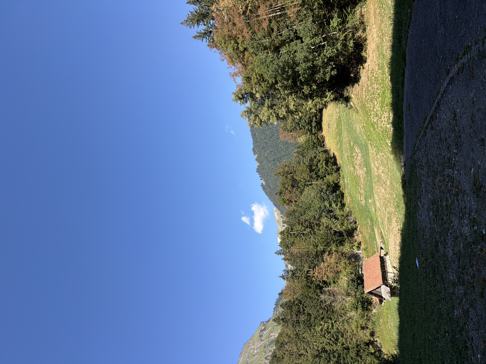 The image shows a scenic view of a mountain landscape. In the foreground, a dark asphalt path is visible, with grass on either side. A small wooden cabin with a red-tiled roof is nestled in a grassy clearing on the side of a hill. The cabin appears to be set back from a treeline. The hill slopes upwards, covered in a mix of green grass and some dry, yellowed patches. The midground is dominated by a dense forest of coniferous and deciduous trees. The deciduous trees towards the right exhibit some autumn colors, with hints of orange and red amongst the green. The background features a mountain range covered in more trees. The sky is a clear, bright blue with a few wispy white clouds. The lighting suggests it is daytime with the sun casting shadows. The scene is tranquil and natural, indicative of a rural or mountainous region.
