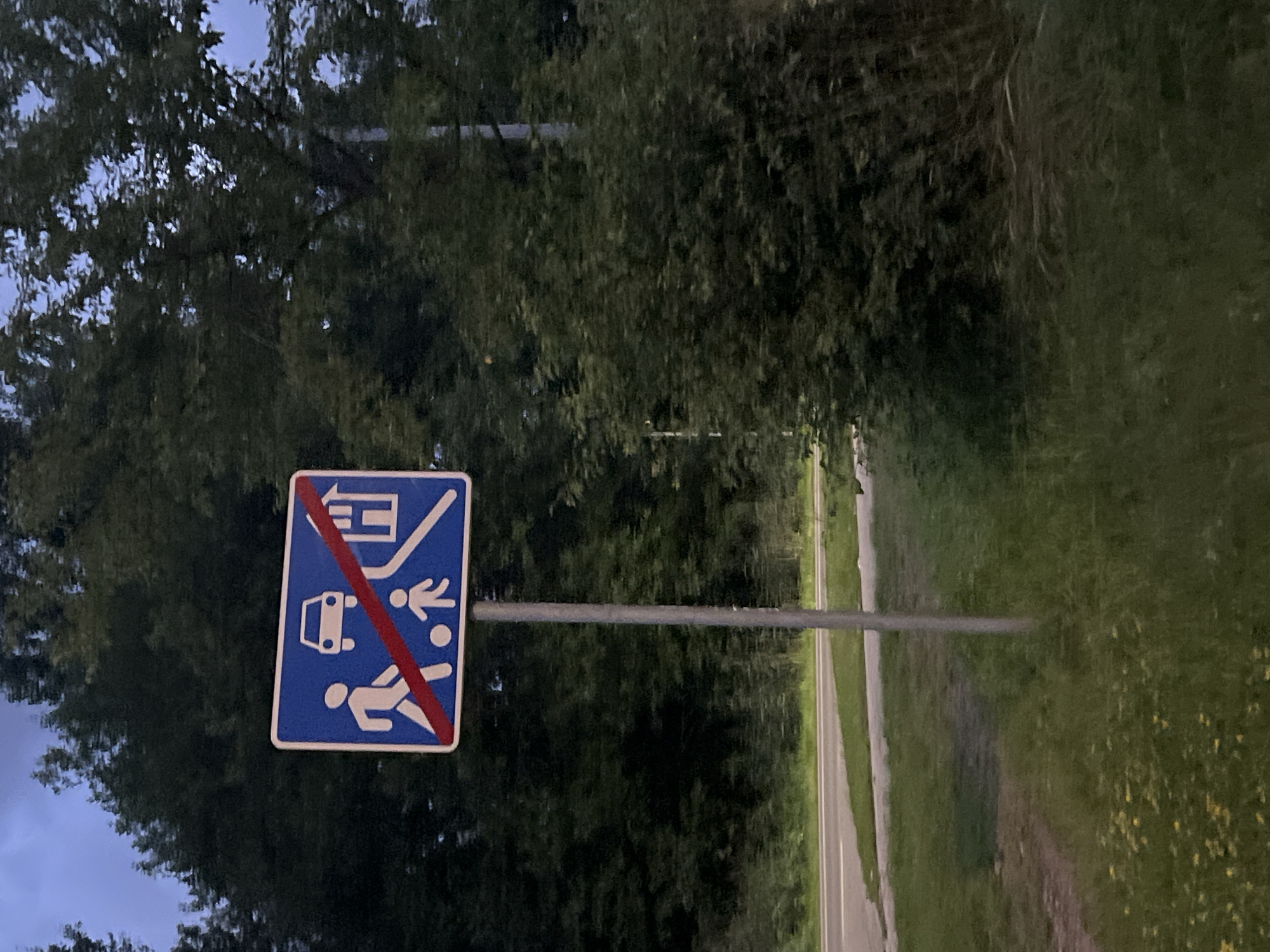 The image depicts a road sign indicating the end of a zone. The sign is rectangular with a blue background and a white border. It features several pictograms: a person walking, a car, a child playing with a ball, and a house. A diagonal red stripe crosses the sign, indicating the termination of whatever the pictograms represent. The sign is mounted on a silver pole.
The sign is positioned on the side of a road, with a paved surface visible in the lower left quadrant. The surrounding environment consists of lush green grass, some scattered yellow wildflowers, and a dense line of trees forming a backdrop. The sky above is visible through gaps in the trees and appears overcast or twilight.
While the image itself does not contain explicit clues to its specific location within Vilnius, Lithuania, the style of the road sign is consistent with European road signage regulations. The presence of a road, trees, and grassy verges suggests a suburban or edge-of-city setting.