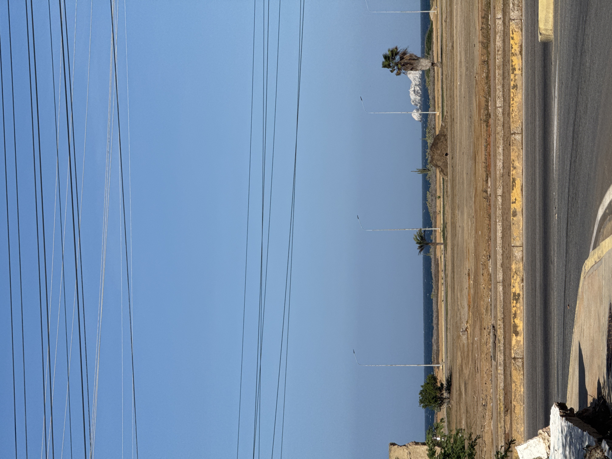 The image depicts a landscape in Porlamar, Venezuela. On the left, numerous electrical power lines stretch across a clear, blue sky. To the right, a stretch of dry, arid land runs parallel to a road; palm trees are scattered along the edge between the land and the ocean. Concrete street lights stand periodically in the terrain. The road has a worn, yellow-painted curb. In the immediate foreground, a sidewalk and a concrete structure appear partially visible. There is no clear sign of human activity in the frame.