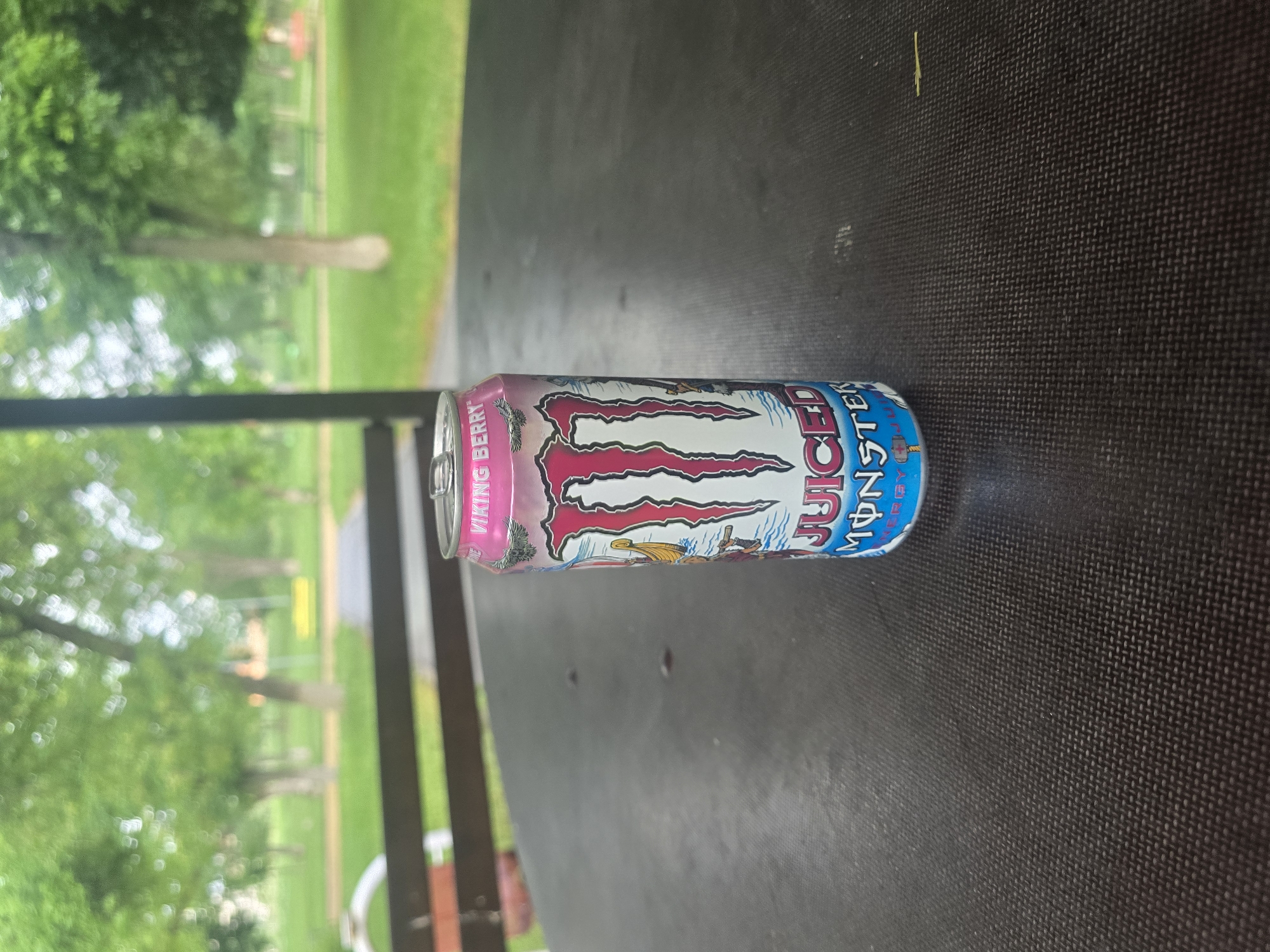 A "Juiced Monster Viking Berry" energy drink can lies horizontally on a dark, textured surface in the foreground. The can is predominantly white and blue, featuring the distinctive red Monster claw logo and a pink section at the top. The words "JUICED", "MONSTER", and "VIKING BERRY" are clearly visible on the can, along with a small graphic resembling a Viking ship.
The background is out of focus but shows a vibrant green outdoor setting, typical of a park or field, with numerous trees and grass. Blurred elements suggest distant structures or fences. The lighting indicates it is daytime, with soft, natural light implying clear weather. No specific activity or people are depicted, but the scene suggests a moment of rest or refreshment in an outdoor environment, possibly in Radnevo, Bulgaria, as indicated by the location context.