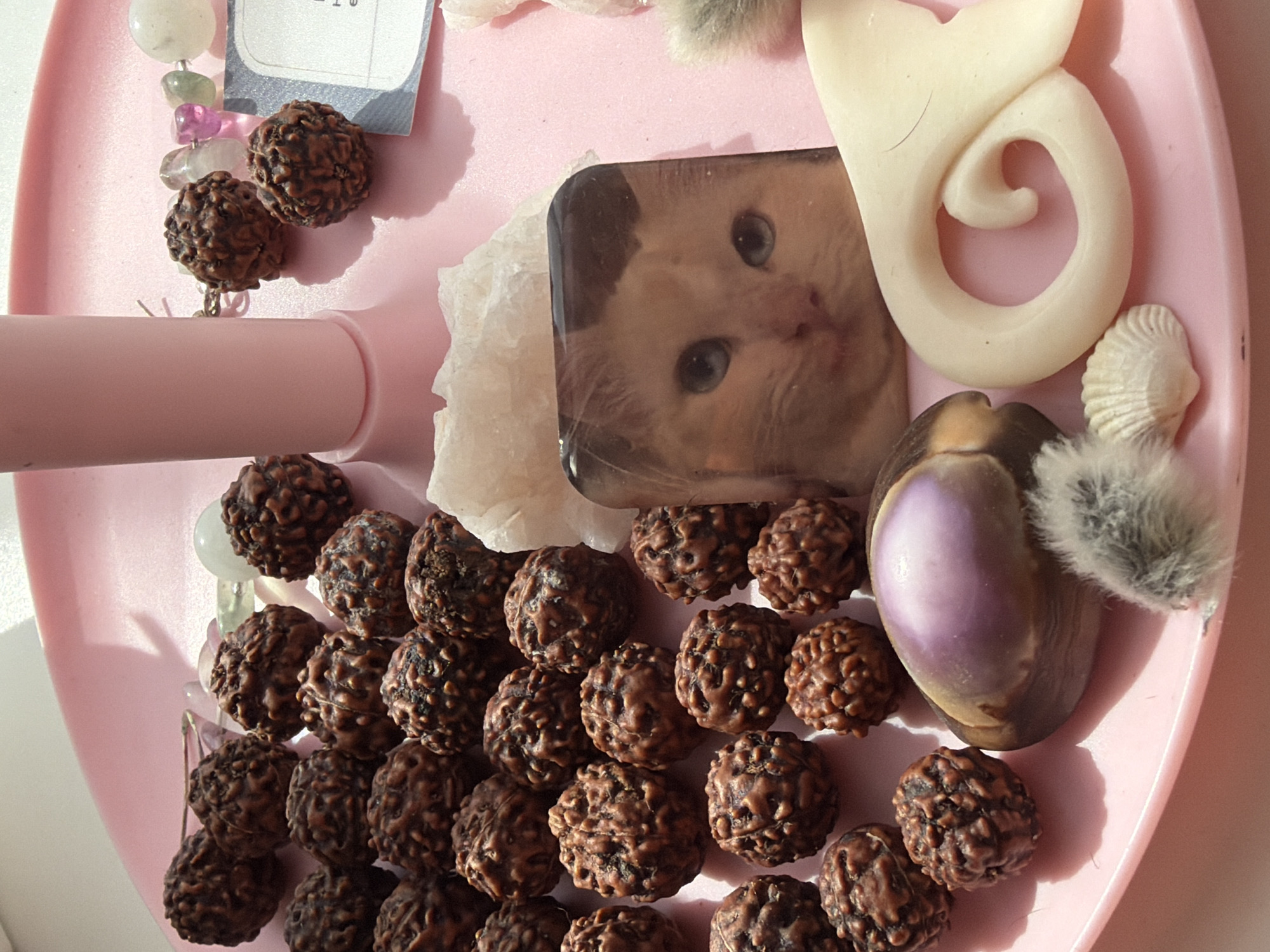 An overhead, close-up shot displays an assortment of small, personal items meticulously arranged on a pink, oval-shaped tray or dish. Dominating the lower and central areas are numerous dark brown, textured, spherical beads, consistent with Rudraksha beads. Several of these beads also appear in the upper left, attached to a string of polished gemstone beads in various translucent hues including white, pink, green, and clear.
In the upper center, a small, rectangular object features the endearing face of a kitten with wide, blue eyes. To its immediate right is a cream-colored, elaborate spiral carving, possibly crafted from bone or similar material, accompanied by a tiny white seashell. Below these, a larger, iridescent shell, exhibiting shades of purple and brown, is adorned with two fluffy gray pom-poms. A piece of irregular, translucent white crystal or mineral is placed near the kitten charm. A pink cylindrical object is partially visible on the left side of the frame, lying underneath some of the beads.
The scene is brightly lit, likely by natural light from an unseen source to the upper left, casting distinct shadows and highlighting the textures of the various objects. A small paper tag with faint, unreadable text is visible in the top left corner. The arrangement suggests a curated collection, possibly holding spiritual, decorative, or sentimental value within an unknown interior setting in Russia. No specific activity or event is taking place; it is a still life.