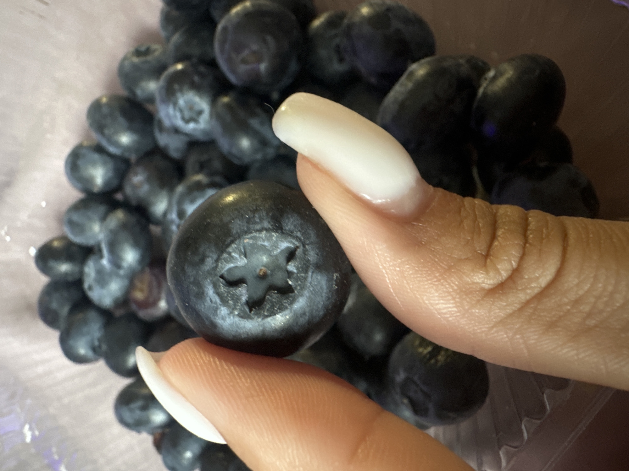 A close-up, overhead shot captures a person's hand holding a single ripe blueberry in front of a blurred background of many more blueberries. The blueberry in focus is dark blue with a distinct star-shaped indentation on its top. The fingers holding it have long, white, manicured nails. The blueberries in the background are also dark blue and appear to be in a clear plastic container. The scene is well-lit, highlighting the texture of the fruit and skin. The image does not provide any information about the location in Sverdlovskiy, Russia.