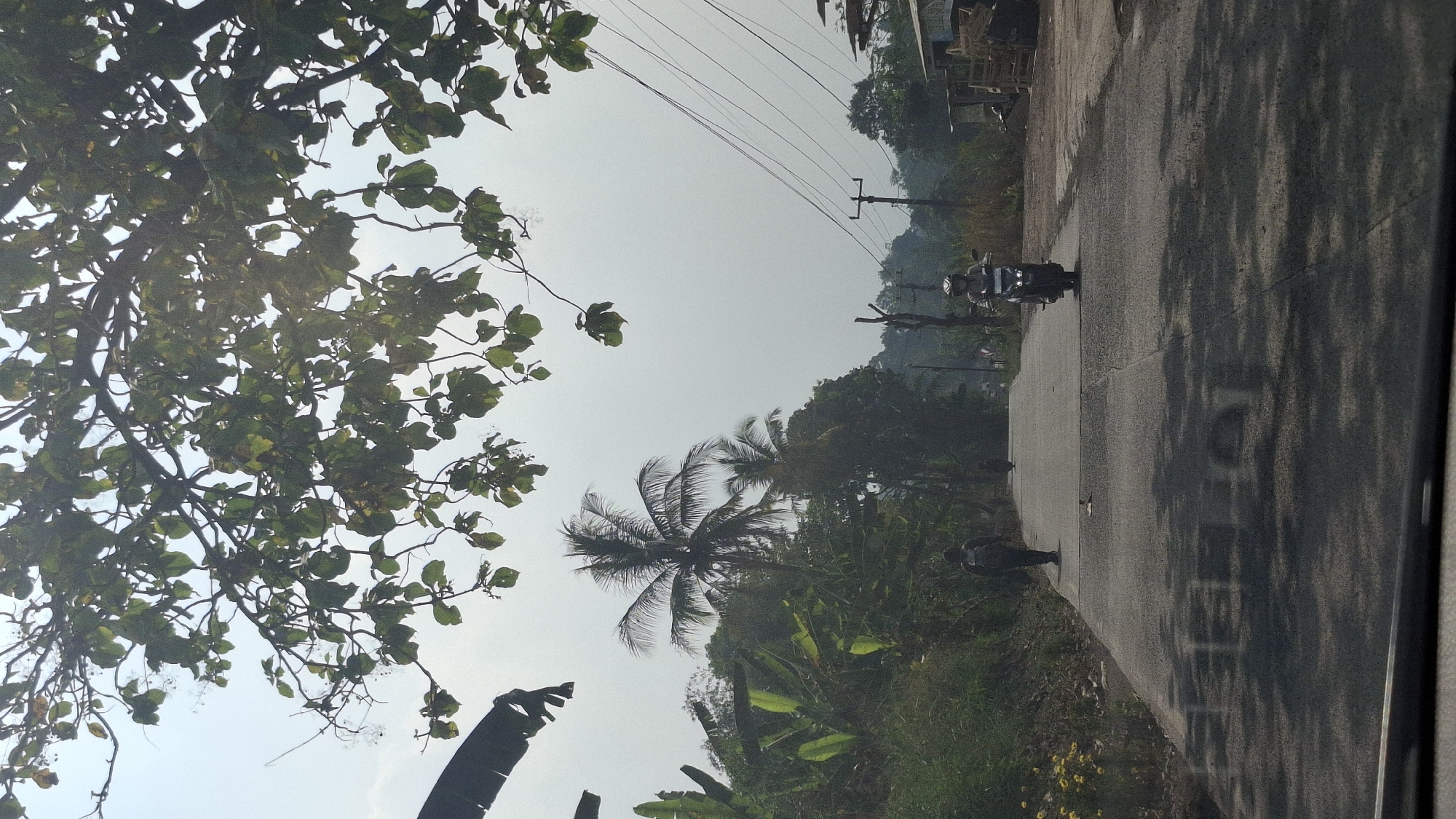 The image depicts a straight, paved road in Cibinong Hilir, Indonesia, flanked by lush vegetation and trees. In the foreground, the edge of a vehicle's windshield and dashboard is visible, casting dappled shadows on the road. A person is walking away from the viewer on the left side of the road. Further down the road, a person is riding a motorcycle towards the viewer, and another motorcycle is visible in the distance. Tall trees, including a coconut palm, line the left side of the road, with more trees and foliage on the right. Overhead, branches of a large tree with green leaves hang into the frame, partially obscuring the hazy sky. Electrical wires stretch across the sky in the upper right portion of the image, supported by utility poles. Small structures and wooden pallets are visible on the right side of the road. The scene appears to be from daytime, with sunlight filtering through the trees.