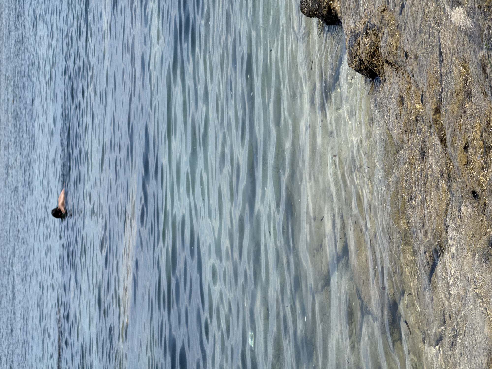 A lone individual swims in the calm, clear waters of the ocean, their dark hair and upper back visible above the surface. The water, shimmering with sunlight, reveals the sandy, rocky seabed below. In the foreground, textured rocks emerge from the shallow water, creating a natural edge. The scene suggests a peaceful and solitary moment in a coastal environment, likely on the island of Lý Sơn, known for its clear waters and volcanic rock formations.