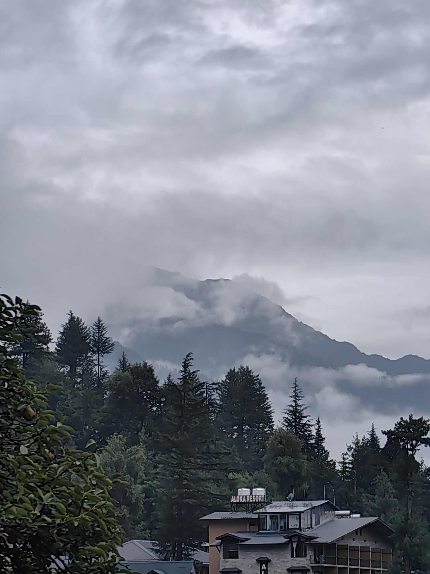 The image depicts a cloudy, overcast day in Manali, India, with a view of mountains partially obscured by fog and mist. In the foreground, there is a dense forest with tall, dark green coniferous trees. A residential building complex with multiple levels and sloped roofs is visible towards the lower right of the frame, with a sign reading "ALOKA RESORT" prominently displayed on one of the structures. The architecture of the buildings appears to be a mix of stone and concrete. The overall atmosphere is serene and cool, characteristic of a mountain region during monsoon or pre-monsoon season.