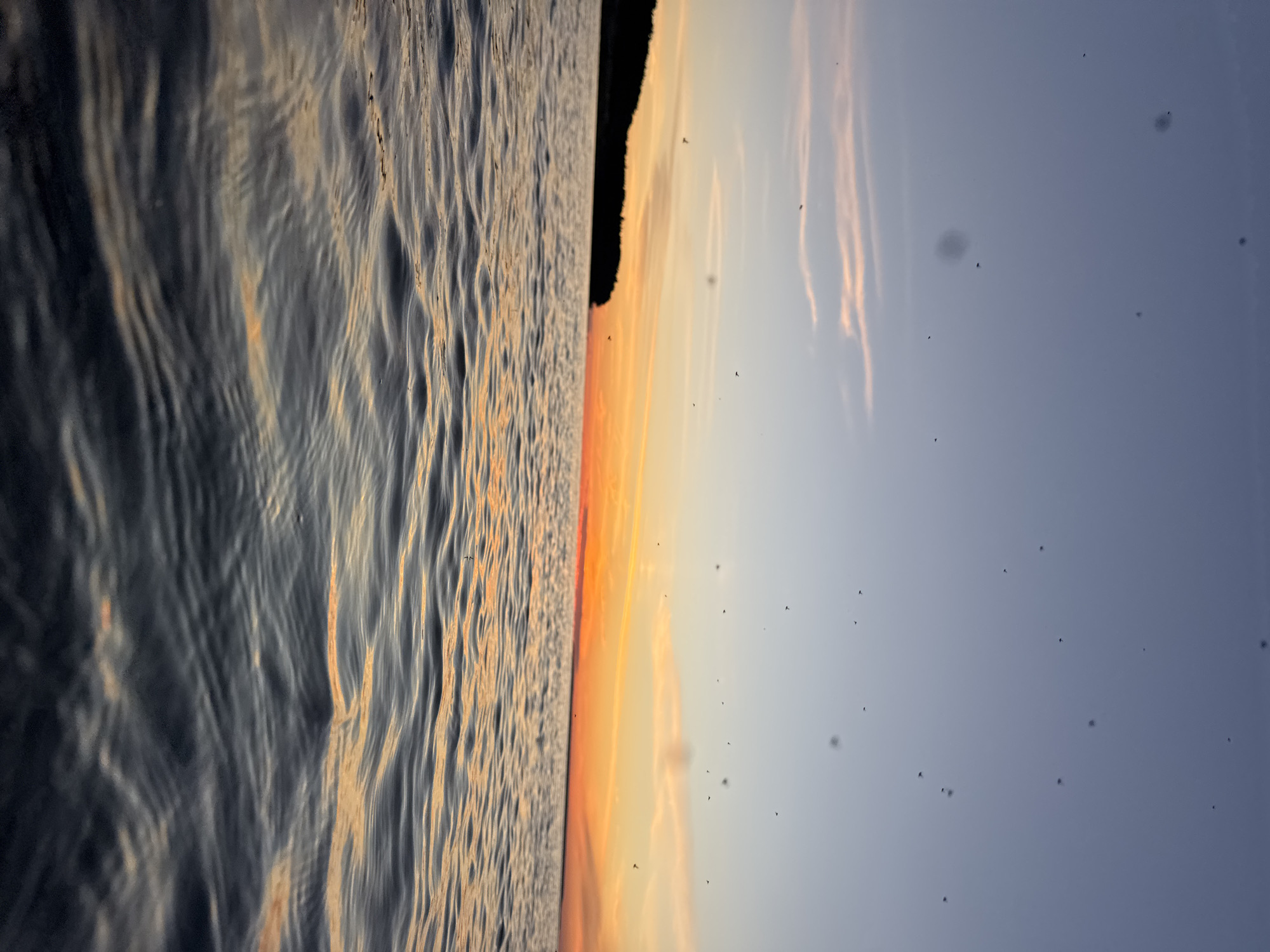 The image depicts a body of water with gentle waves, reflecting the colors of a sunset. In the distance, a dark, tree-lined landmass is visible on the horizon, silhouetted against the vibrant orange and pink hues of the sky. Numerous small, dark specks, likely insects or birds, are scattered across the sky, some appearing blurred, suggesting movement. The water occupies the foreground, its surface textured with ripples and catching the warm glow of the setting sun. The scene suggests an outdoor setting, possibly a lake or the sea, at dusk. Without further information or visual cues, it is not possible to determine the specific location within Tallinn, Estonia.