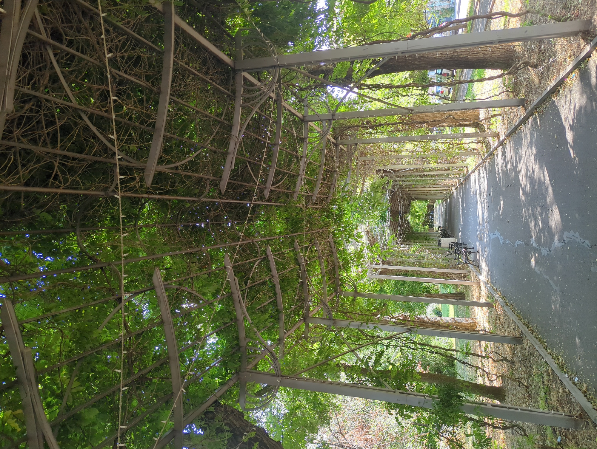The image shows a long, tree-lined pathway covered by an overhead trellis structure. The trellis is made of metal supports and is heavily covered in green foliage, creating a shaded walkway. There are benches placed along the side of the path. The pathway is paved and appears to be in a park or public garden. The surrounding environment is lush with trees and vegetation. The lighting suggests it is daytime, with dappled sunlight filtering through the leaves. There are no people visible in the image.