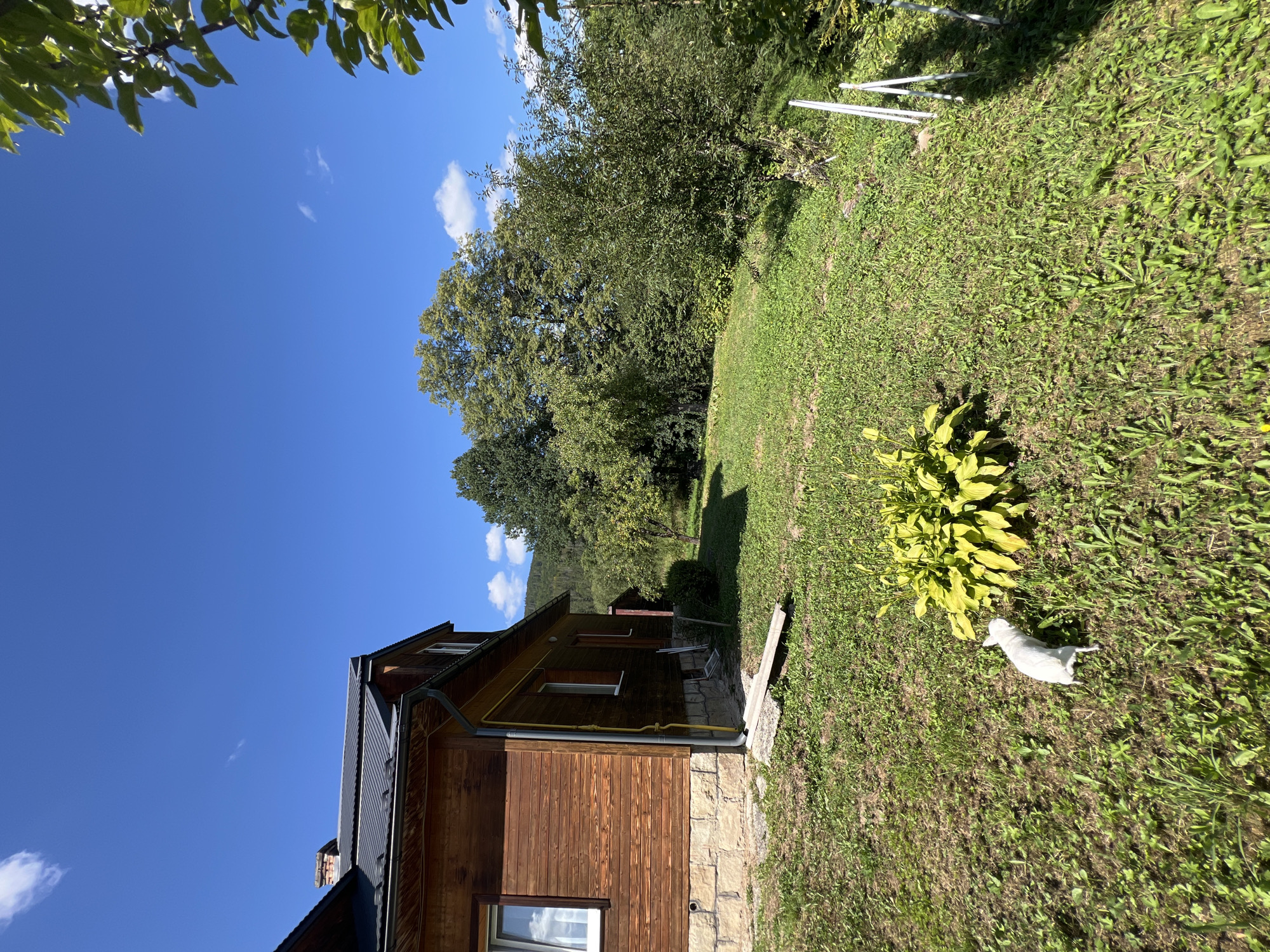 A white dog is sniffing the ground near a bright yellow plant in a green, grassy yard. Behind the dog, a large, wooden house with a dark roof and stone foundation is visible on the left. The house has several windows. A yellow pipe runs down the side of the house. In the background, a dense forest is seen, with a clear blue sky overhead and a few white clouds. The scene appears to be set in a rural location outside of Yaremche, Ukraine, likely a residential property.