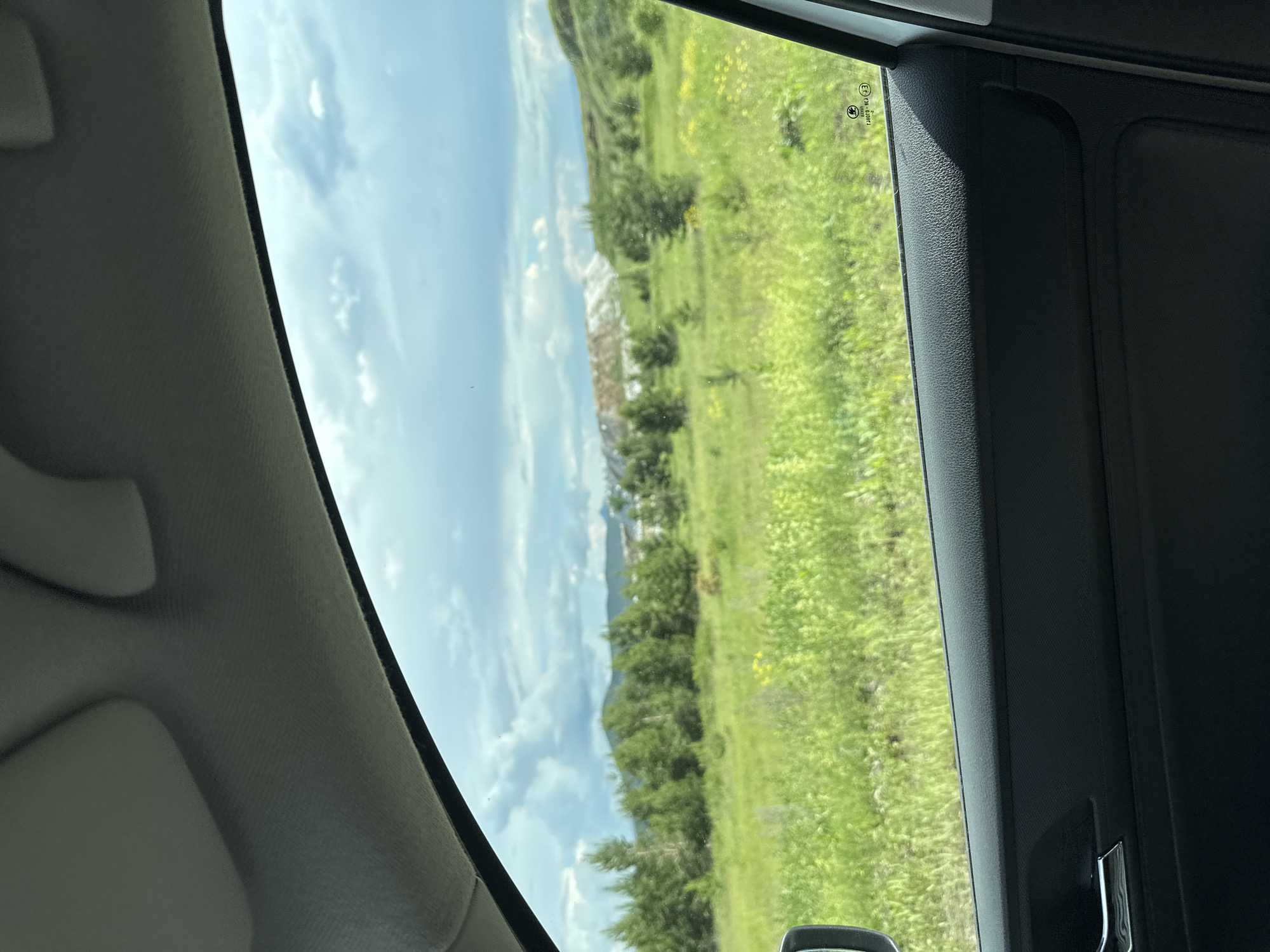 The image depicts a view from inside a vehicle looking out through the passenger window. The foreground is dominated by the dark interior of the car door, with a chrome door handle visible on the left. The window shows a bright, green, grassy field dotted with small yellow flowers. In the midground, a line of green trees forms a dense forest, and beyond that, the landscape rises into rolling hills. In the far distance, a large, light-colored mound, possibly a spoil heap or industrial waste, is visible against a cloudy sky. The overall scene suggests an outdoor environment, likely rural or on the outskirts of a town.