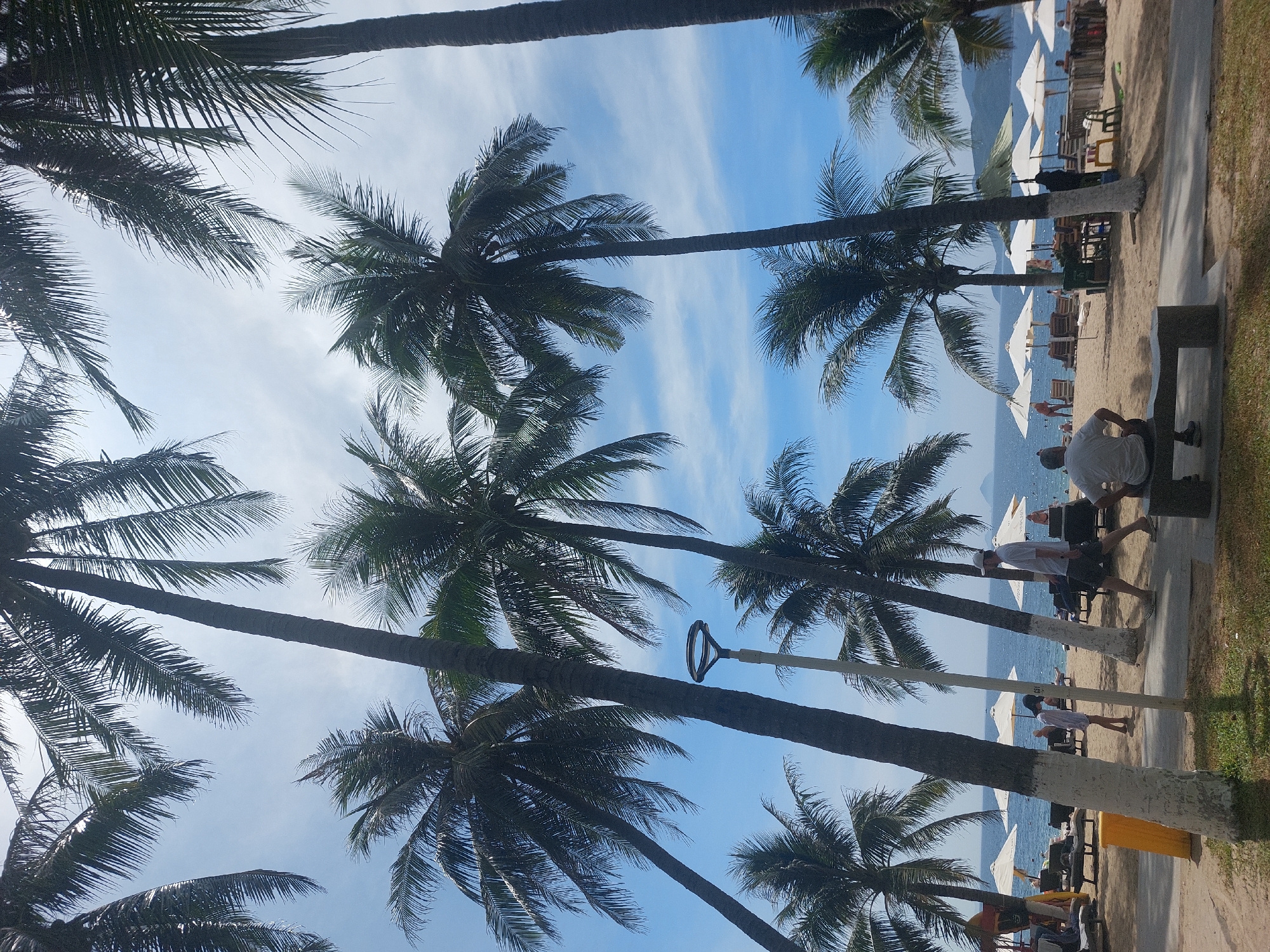 This image depicts a beach scene in Nha Trang, Vietnam, with numerous palm trees dominating the foreground and midground, their fronds arching against a bright blue sky with scattered white clouds. The beach itself is sandy, populated with lounge chairs and umbrellas, some of which are open and providing shade. Several people are visible on the beach, including individuals walking, standing, and sitting on chairs or a bench. In the background, the calm ocean stretches to the horizon, with distant hills or mountains visible. A lamppost is positioned between some of the palm trees. The overall impression is a relaxed tropical beach setting.