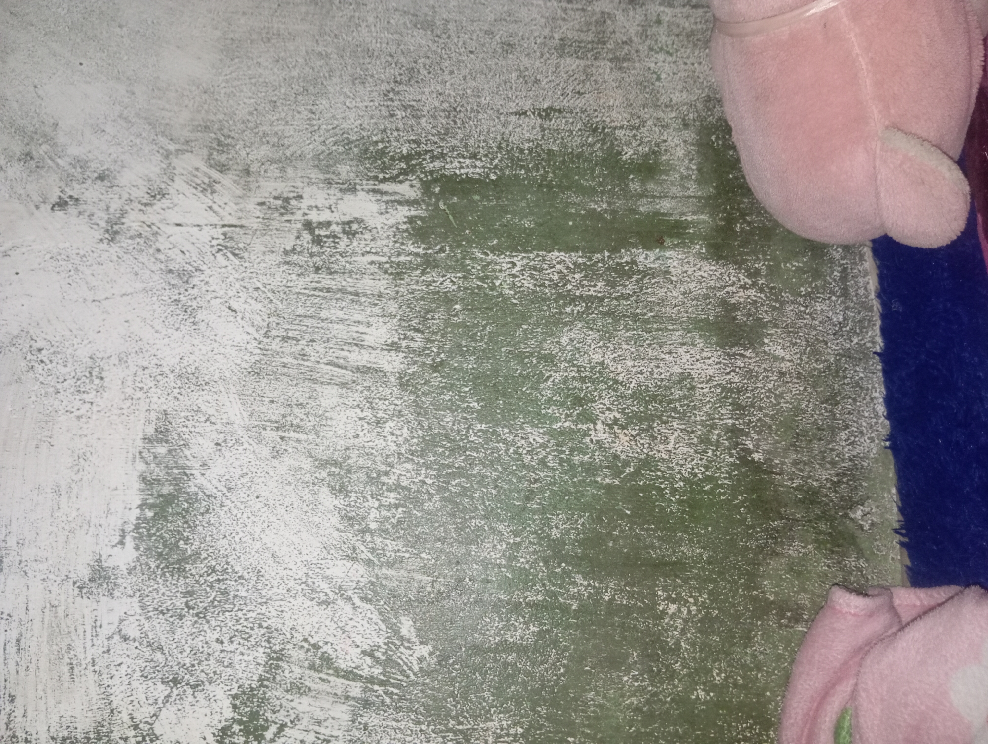The image shows a close-up of a textured wall with green and white paint splatters, possibly a close-up of a wall in a building in Rejosari, Indonesia. In the lower right corner, a pink stuffed animal is visible, and in the lower left corner, a portion of a pink blanket is visible. The blue surface below the stuffed animal and blanket appears to be a rug or carpet.