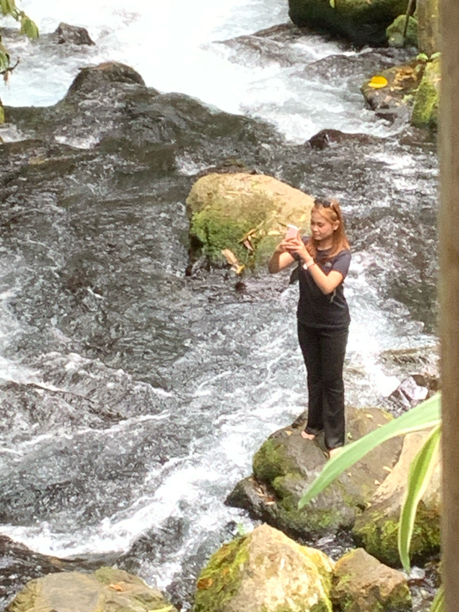 In Pronojiwo, Indonesia, a young woman with light brown hair, wearing sunglasses on her head, a dark t-shirt, and black pants, stands on a moss-covered rock next to a fast-flowing river. She is holding up a pink smartphone, appearing to take a picture or record a video. The river is characterized by its turbulent, white-capped water cascading over dark, submerged rocks. Surrounding the river are large, mossy boulders and lush green foliage, indicating a natural, perhaps jungle-like, environment. The scene is captured in a slightly blurry, natural light, suggesting it was taken outdoors during the day.