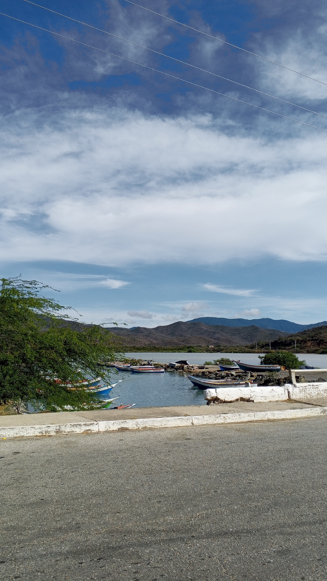 The image depicts a waterfront scene in Pedro González, Venezuela, with a view of the ocean and distant mountains. Several small, colorful fishing boats are moored along a concrete embankment, partially obscured by a leafy green tree in the foreground. The sky is blue with scattered white clouds and power lines stretching across the upper portion of the frame. An asphalt road occupies the lower portion of the image, leading the viewer's eye toward the scene.