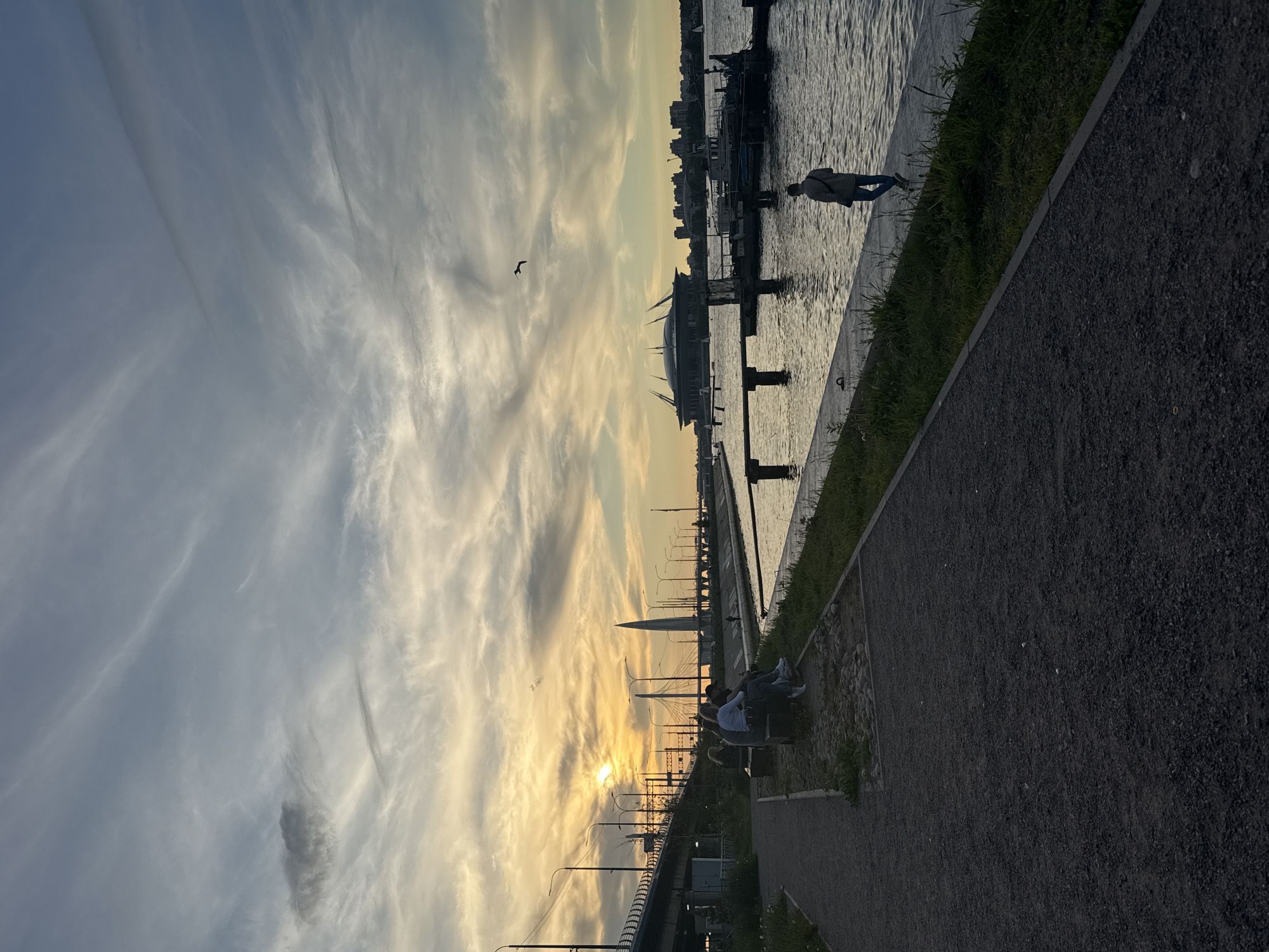 The image, best viewed in landscape orientation, captures a serene waterfront scene during either sunset or sunrise in Saint Petersburg, Russia. The sky dominates the upper half, displaying a gradient from a soft blue on the left to a brilliant golden and orange around the low sun on the right horizon. Wispy, elongated clouds stretch across the sky, catching the warm light.
In the lower portion, a dark gravel path runs along what would be the foreground, bordered by a strip of vibrant green grass. The path parallels a calm body of water that occupies the mid-ground, reflecting the sky's hues.
Along the water's edge, a lone person stands silhouetted on the right side of the frame, facing the water. Further to the left, a small group of people sits on a bench on the embankment, also taking in the view. A distinctive modern cable-stayed bridge is visible in the distant background on the left, standing tall against the horizon. Several lampposts line the path and extend towards the bridge. Other structures include a prominent dome-shaped building on the water and multiple dock-like posts. A bird is captured in flight against the illuminated sky.
The overall atmosphere is peaceful and contemplative, capturing individuals enjoying the scenic beauty of the city's waterfront at a transitional time of day. There is no visible text in the image.