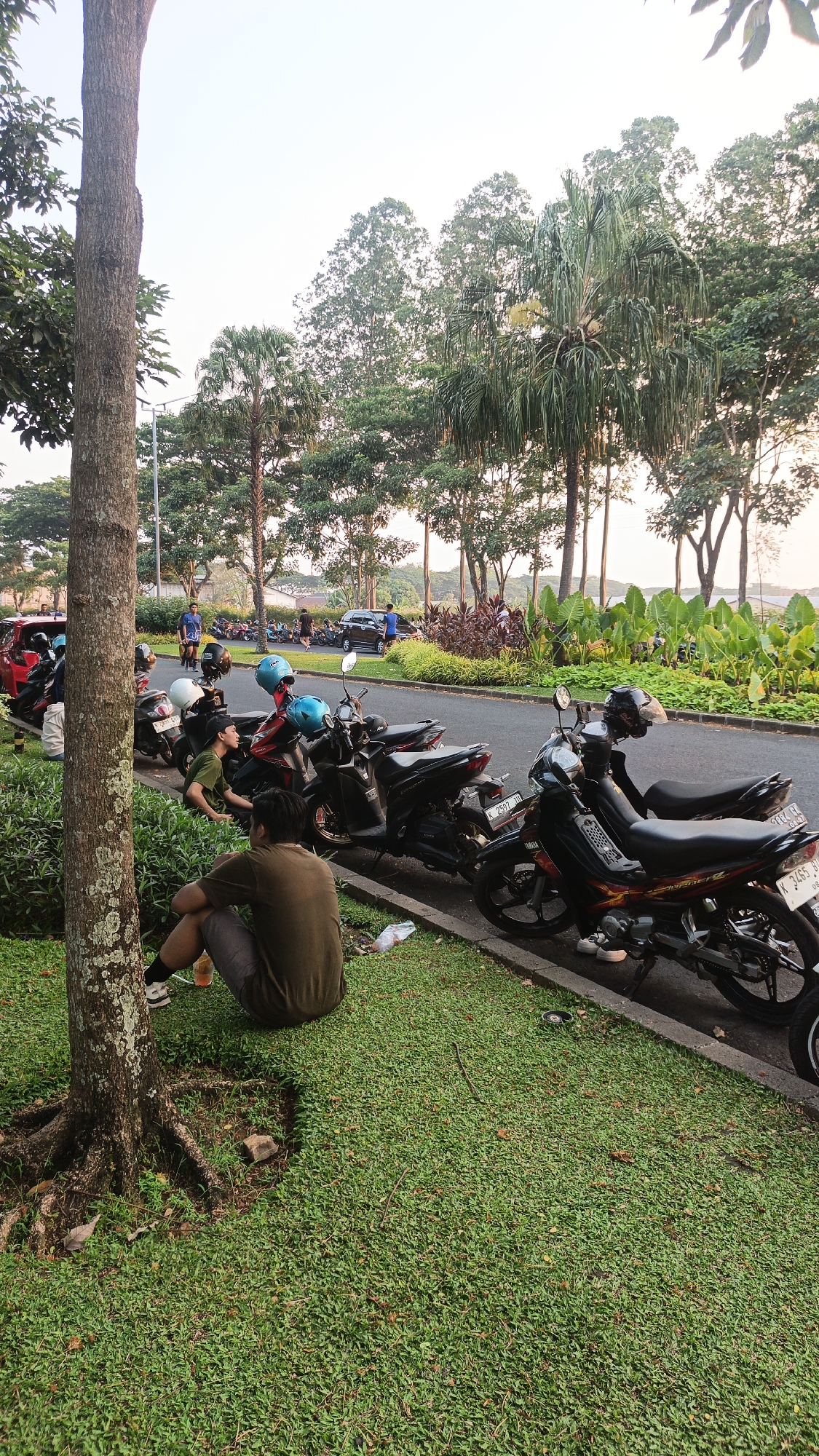 The image depicts a parking area on the side of a road in Bacin, Indonesia. Several motorcycles are parked in a line along the curb. In the foreground, two individuals are seated on the grass next to a large tree, facing away from the camera. One person is wearing a brown shirt and shorts, and the other is wearing a green t-shirt and what appears to be shorts or pants. The environment is lush with green grass and various trees, including palm trees, in the background. The sky is overcast, suggesting it might be late afternoon or early morning. The road appears to be well-maintained, with a few cars and people visible further down. The scene conveys a sense of casual gathering or waiting.