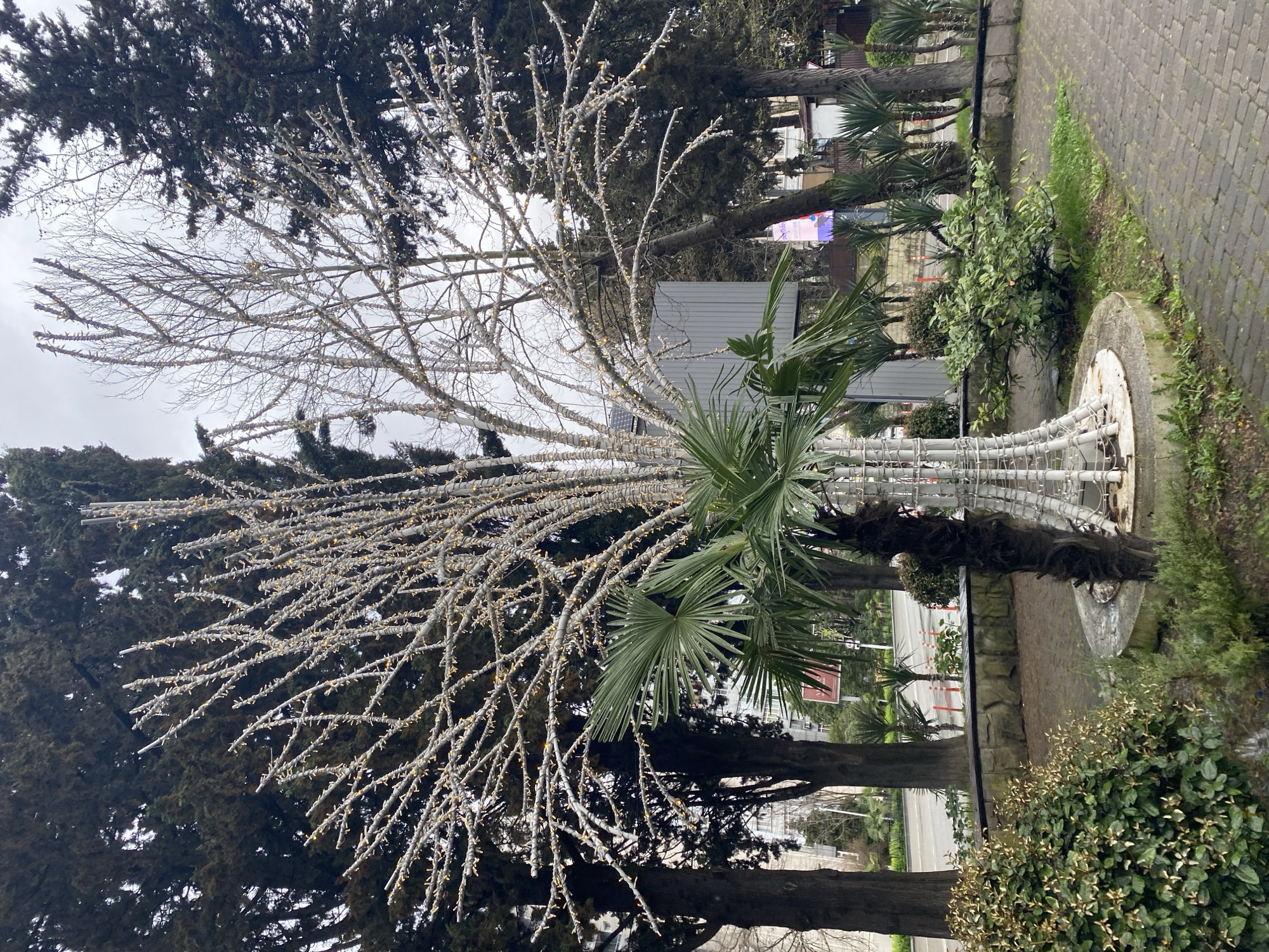 The image shows an artificial tree decorated with Christmas lights, standing next to a palm tree in a park. The sky is overcast. The location is likely in Sochi, Russia, given the style of the street furniture, the palm tree species, and architecture. The ground is paved with gray bricks. Bushes and other trees surround the location.
