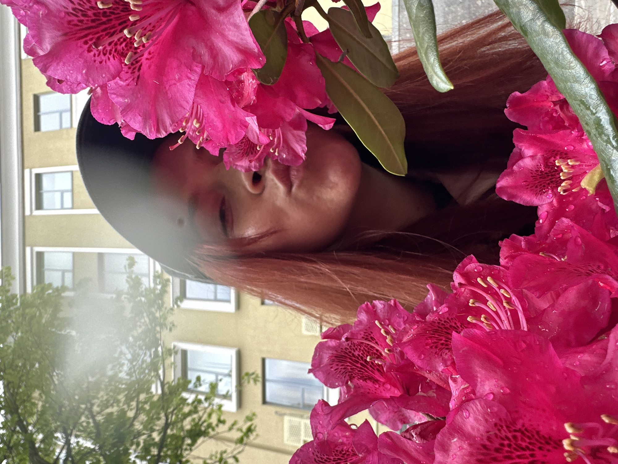 A close-up photograph, rotated counter-clockwise, shows a woman with reddish-brown hair framed by bright pink rhododendron flowers. The woman's eyes are closed, and she appears serene. A black cap covers most of her head. The flowers are covered in water droplets, indicating rain or recent watering.
Behind the woman and the flowers, a building with evenly spaced windows is visible. Green trees are also visible, slightly blurred, suggesting they are further in the background. The location in the city is Unknown, Unknown, and there are no actions or interactions readily discernible. The focus is on the woman's face and the surrounding floral arrangement.