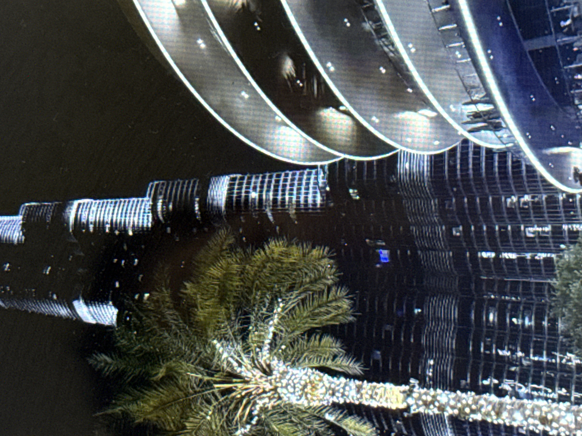 The image shows a nighttime scene featuring a tall, modern skyscraper and a curved, multi-tiered structure in the foreground. A palm tree decorated with lights stands to the left of the skyscraper, its trunk and lower fronds illuminated. The skyscraper is dark and appears to have many windows, some of which are lit. The curved structure, possibly a building or an observation deck, has a sleek, metallic finish and is also adorned with lights. The background is dark, indicating it is night. The description of the location as Pushkino, Russia is not supported by any visual evidence in the image.