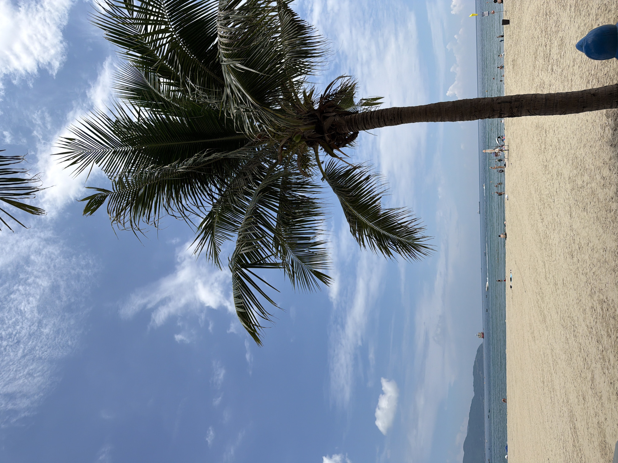 The image depicts a wide, sandy beach in Da Nang, Vietnam, under a bright, partially cloudy sky. A prominent palm tree with dark green fronds occupies the right side of the frame, its trunk a rough, textured brown. The sand is light beige and smooth, with subtle ripples indicating it's untouched by footprints in the foreground.
In the background, the blue ocean stretches to the horizon, meeting a distant, hazy coastline with mountains. Several small boats are scattered on the water, and a larger, red and white ship is visible further out at sea. A few people are scattered across the beach and in the shallow water, some appearing to be swimming or wading, while others are seated or standing near the shoreline. The atmosphere is tranquil and summery.