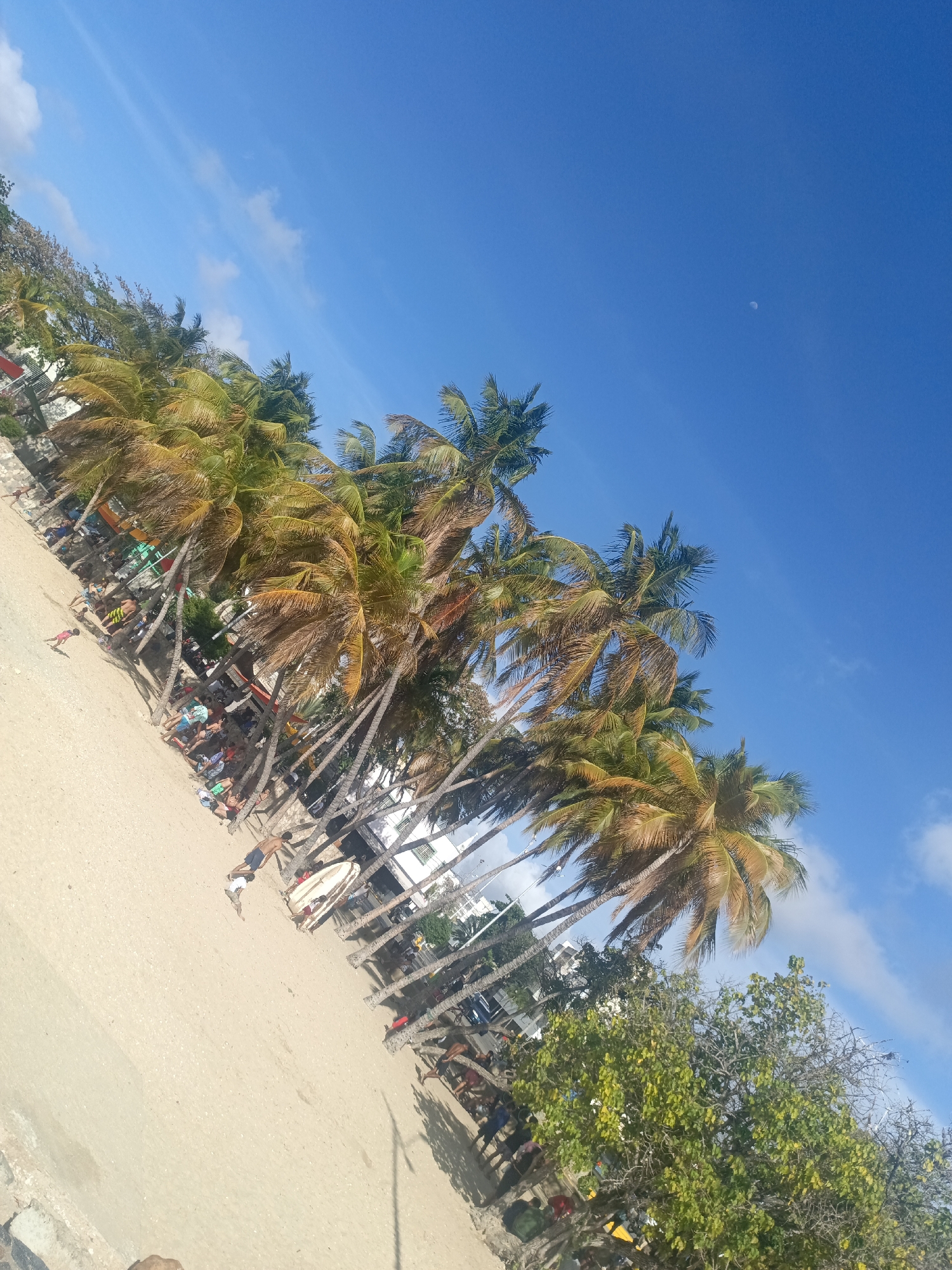 The scene depicts a beach in Juan Griego, Venezuela. Palm trees line the sandy beach, with a clear blue sky overhead. People are scattered along the beach, some sunbathing, others walking, and a group gathered under the shade of the trees. The buildings and urban development indicate the beach is situated within the city. The moon is visible in the sky.