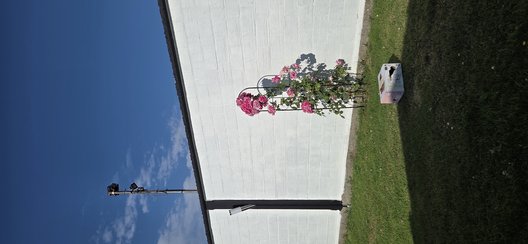 This image depicts an exterior scene in Eeklo, Belgium, under a clear blue sky with scattered clouds, suggesting a sunny daytime. The perspective is tilted, with the sky occupying the left half of the frame and a white brick wall on the right.
In the foreground, a black pole extends upwards, supporting what appears to be security cameras or lighting fixtures. Along the base of the wall, a trellis is adorned with vibrant pink roses in full bloom. To the right of the roses, on a patch of green grass, sits a cardboard box with some text visible.
The scene is illuminated by sunlight, casting shadows from the rose trellis onto the wall and from an unseen object onto the grass. The overall impression is one of a well-maintained outdoor space, possibly a garden or the side of a building.
The visible text on the box is partially obscured, but "GRANADILLA SYRAH" can be deciphered. No people are present in the image. The bright sunlight and clear sky indicate fair weather conditions.